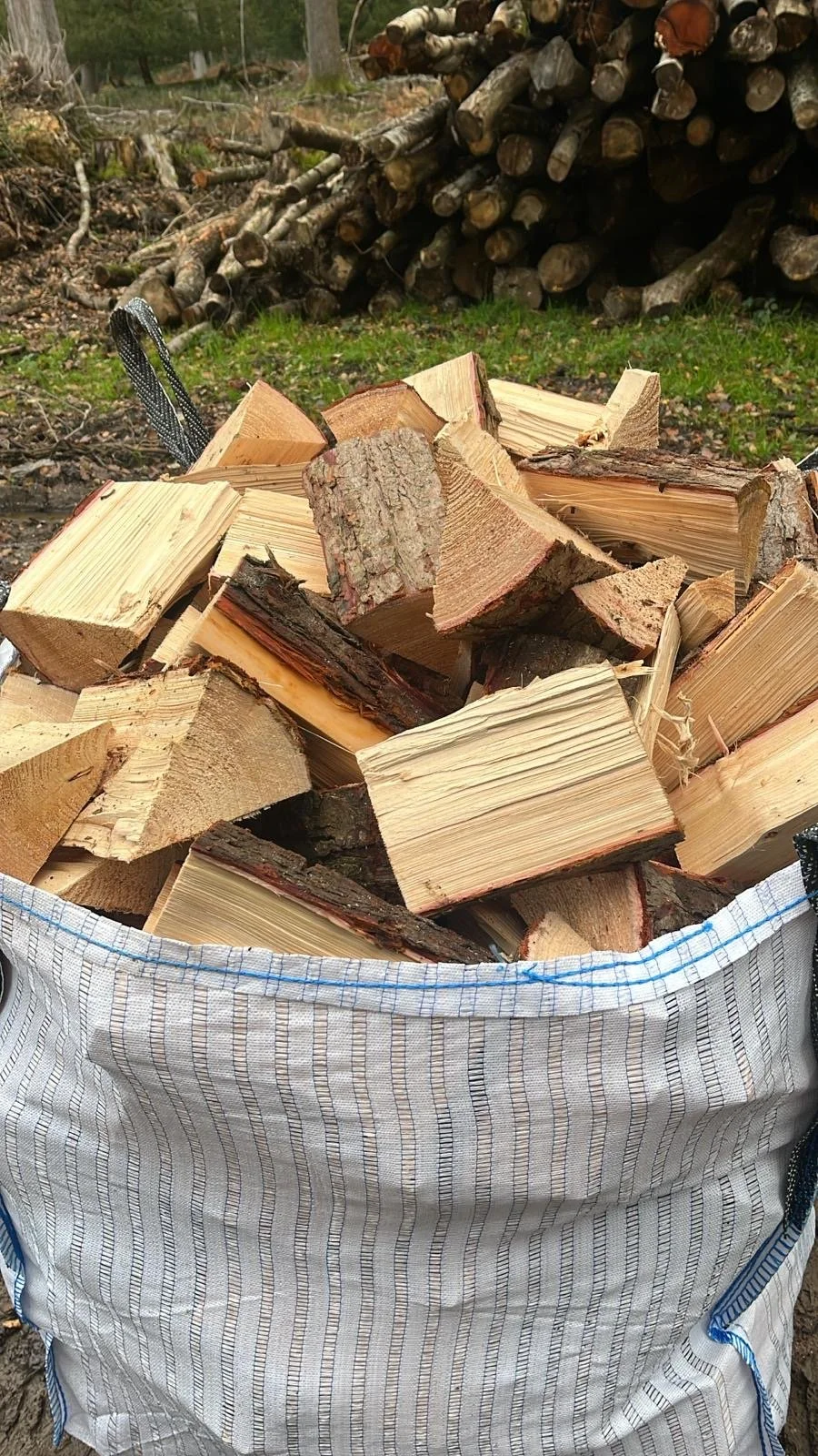 Rayburn logs.JPG