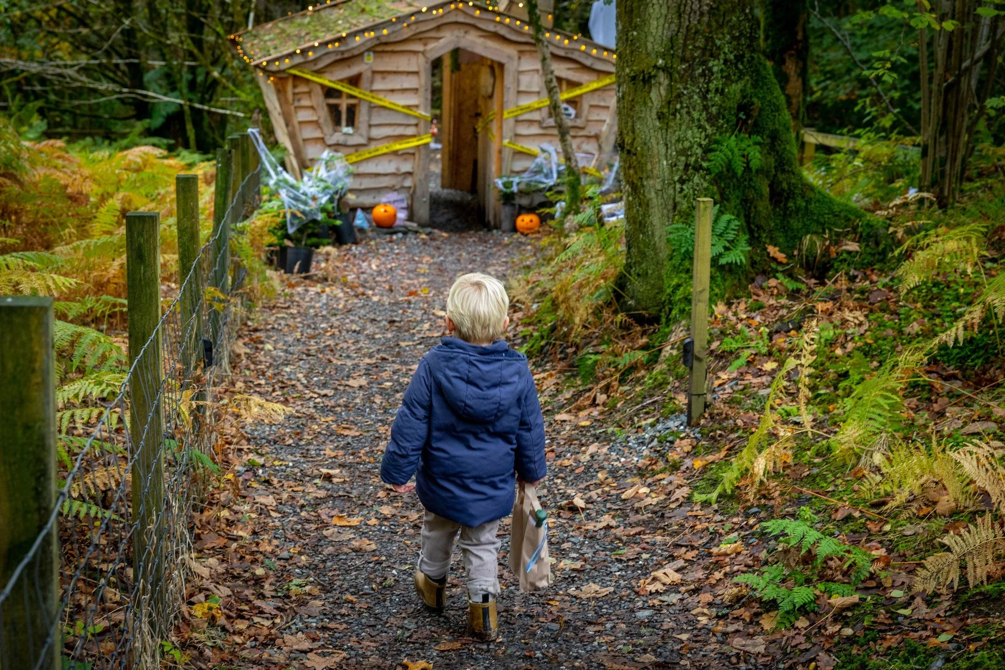 A young boy with blonde hair, wearing a blue jacket and beige pants, walks on a wooded trail holding a paper bag in his right hand. The trail leads to a small, rustic wooden house decorated with Halloween-themed pumpkins and spider webs, surrounded b