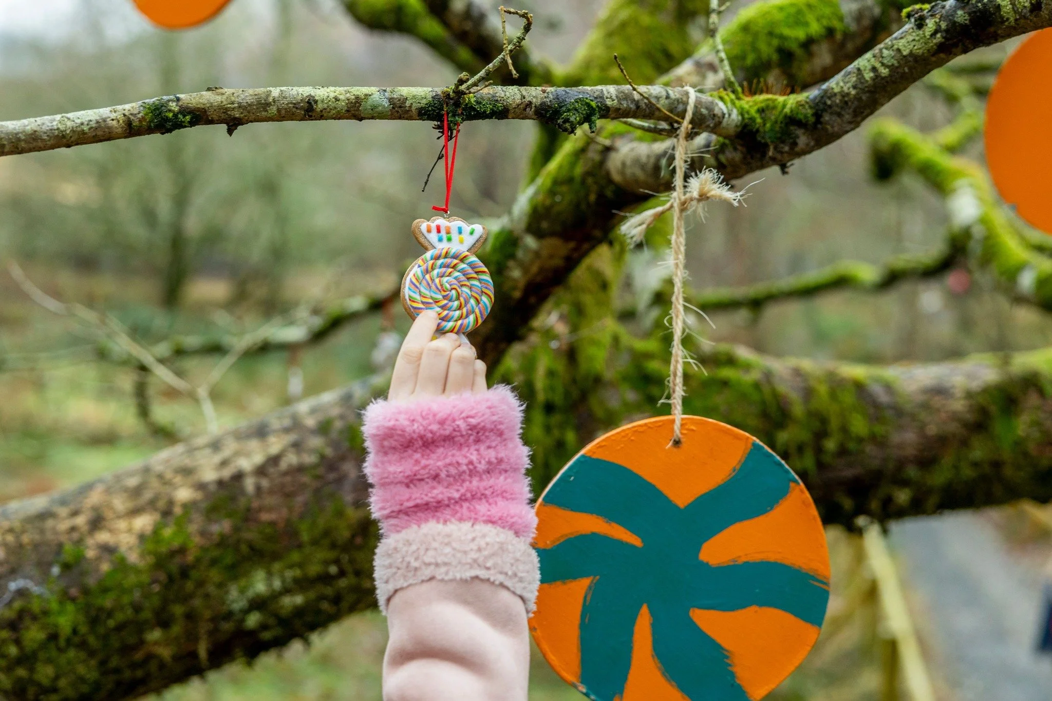 A child's hand in a pink fuzzy sleeve reaching out to hang a colorful, swirl-patterned cookie ornament on a tree branch. The tree has green moss on its branches, and there are other round, orange ornaments hanging from the tree.