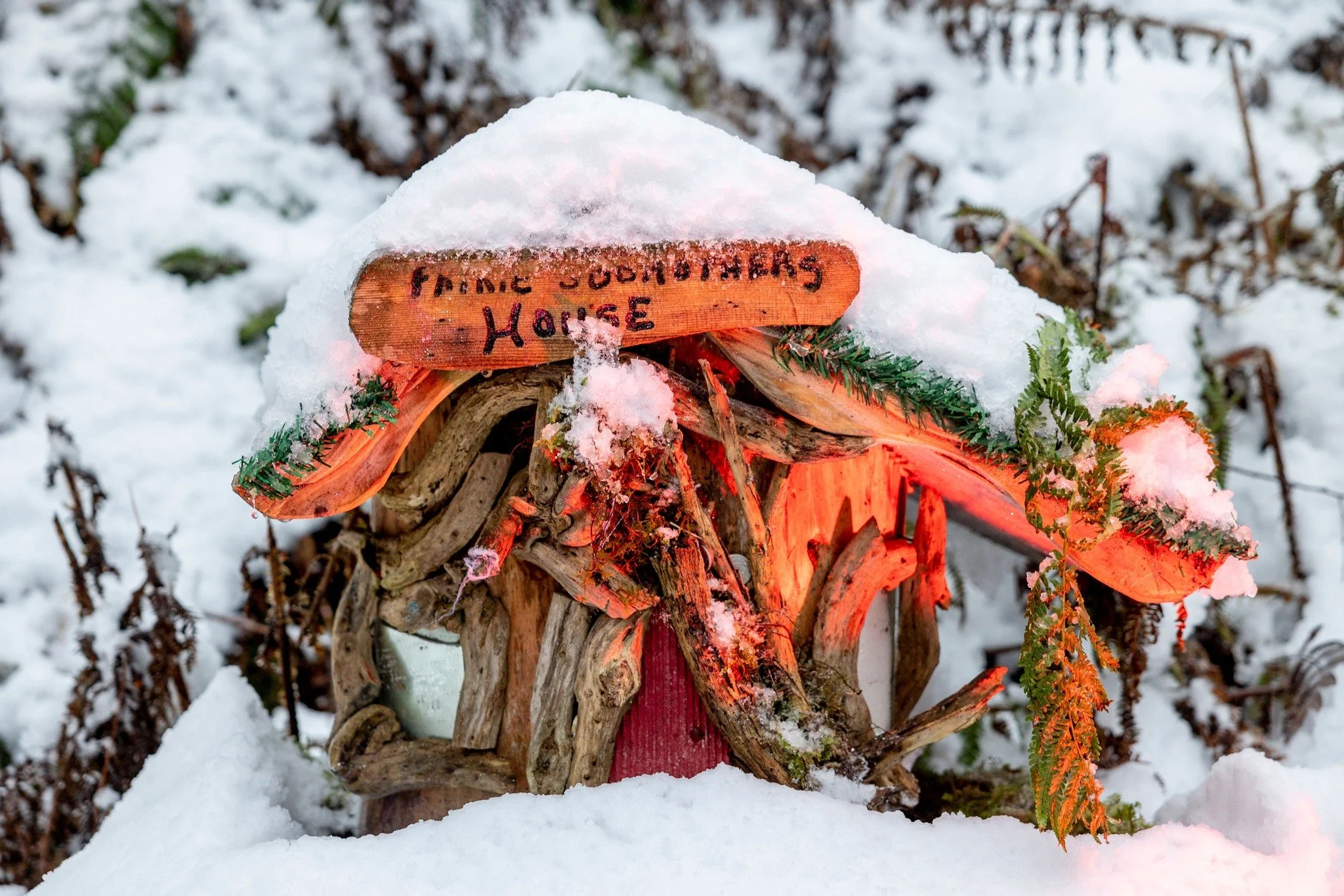A small wooden fairy house covered in snow, with a sign that reads 'Fairy Sconters House'.