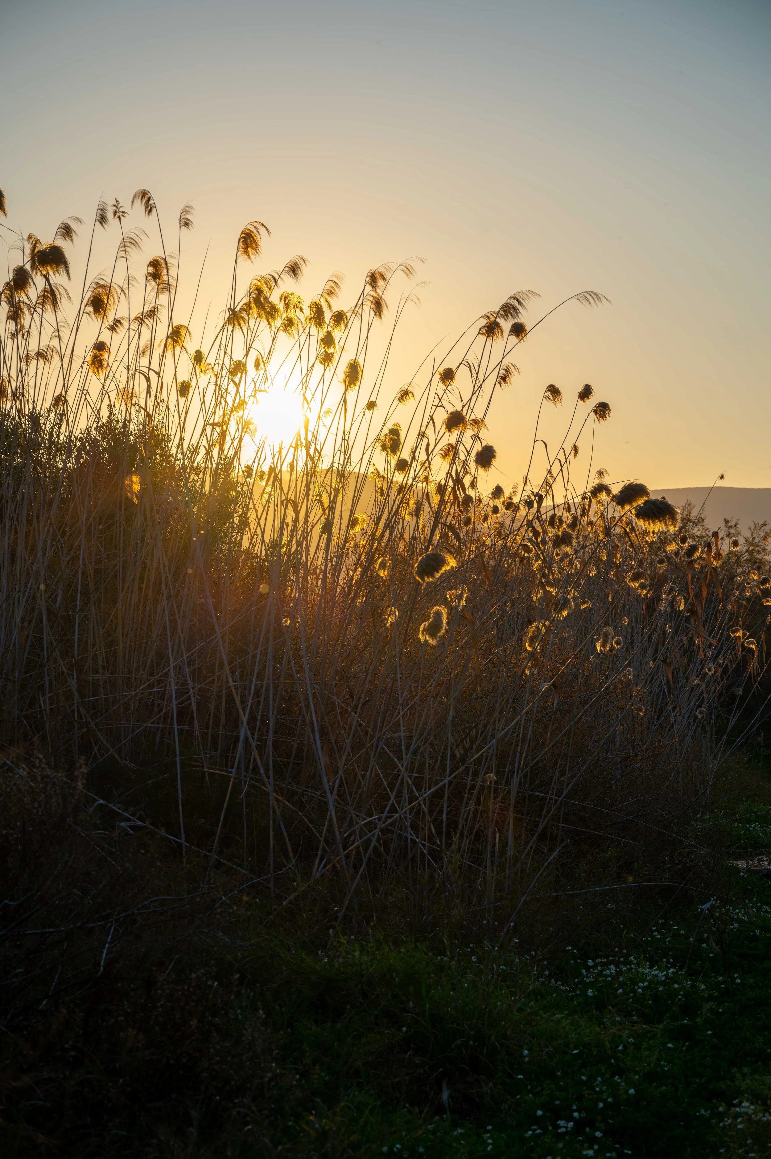 Der Pilote V600G in der X-Edition