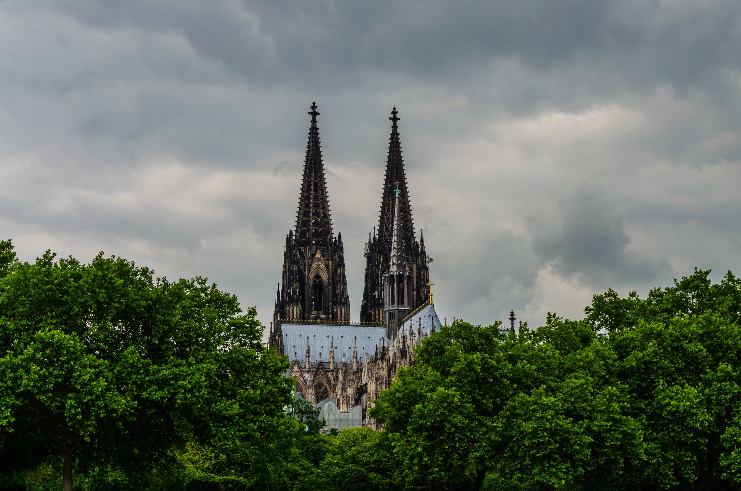 Cathedral im Shop von Nils Bruning der Kölner Dom im grünen Djungel der Großstadt