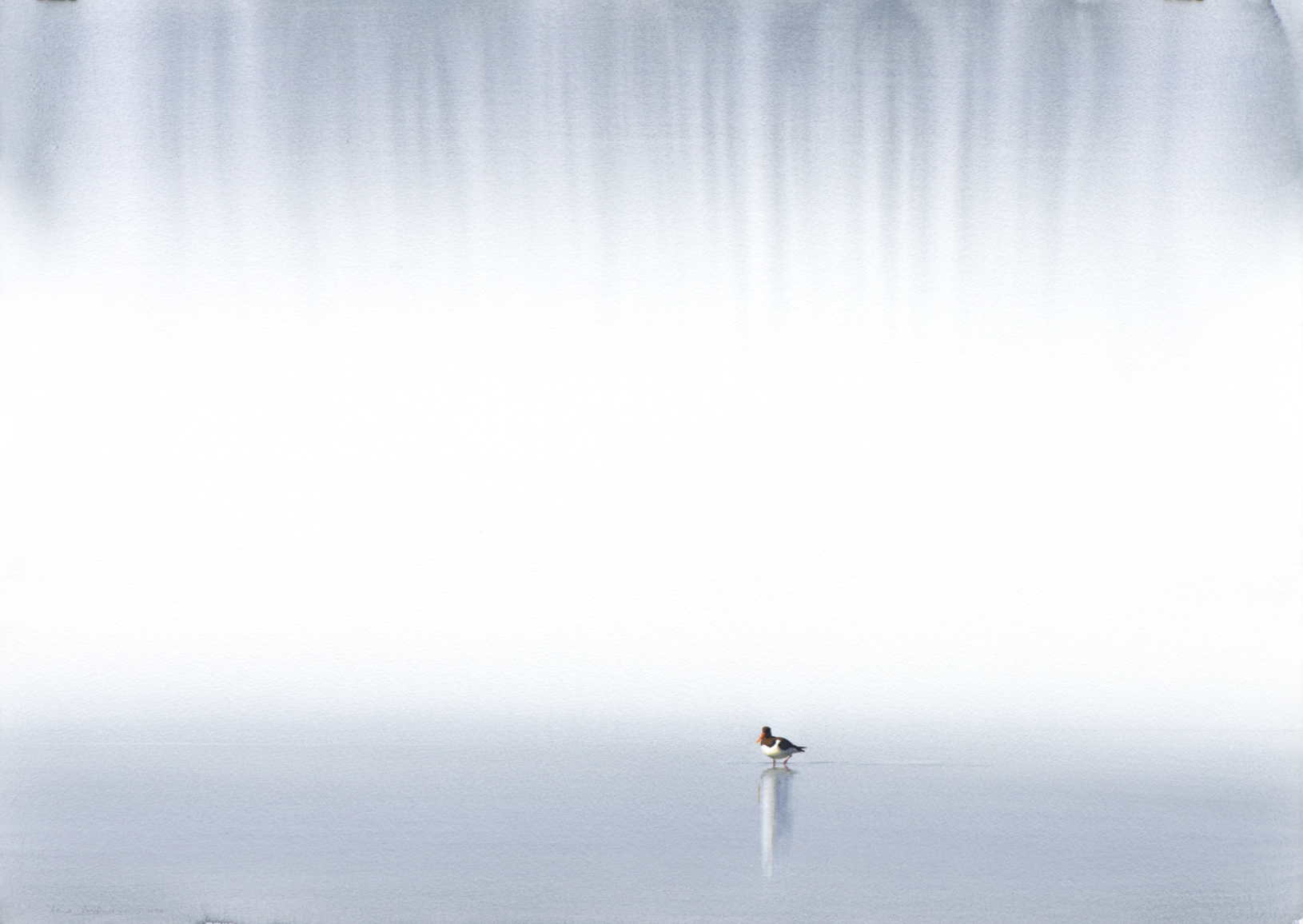 "Waiting, Oystercatcher" 2026

Watercolor on paper
76x106 cm