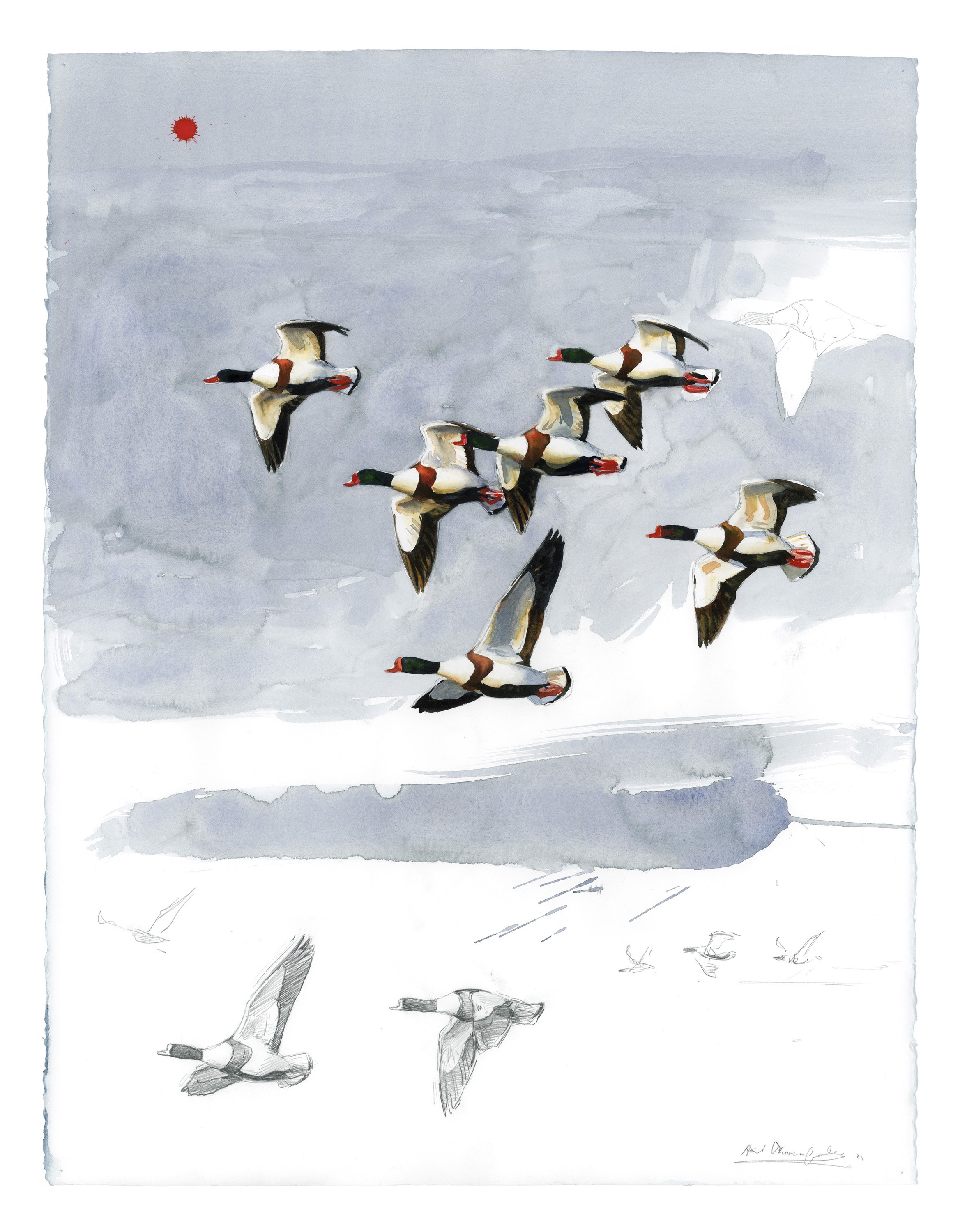 "Shelducks" 2024

Watercolor on paper
76x56 cm
