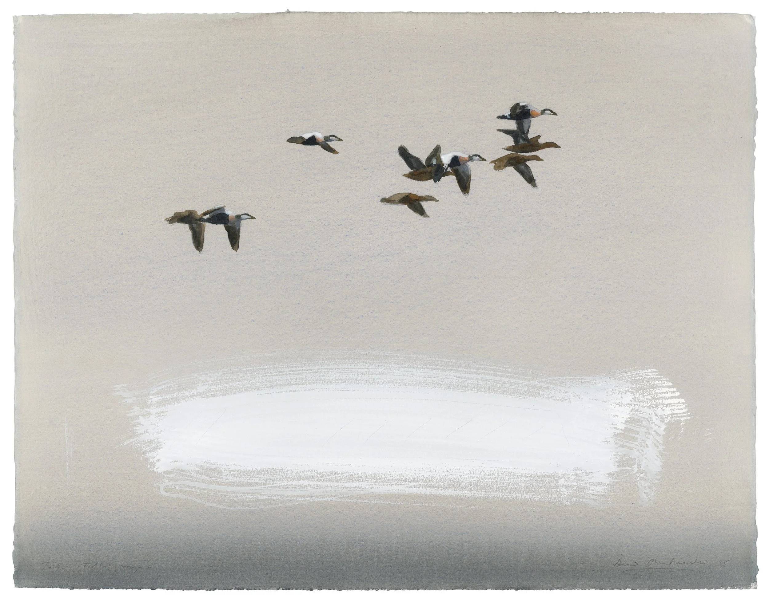 "Fog, migrating Eiders" 2025

Watercolor and gouache on paper
47x56 cm