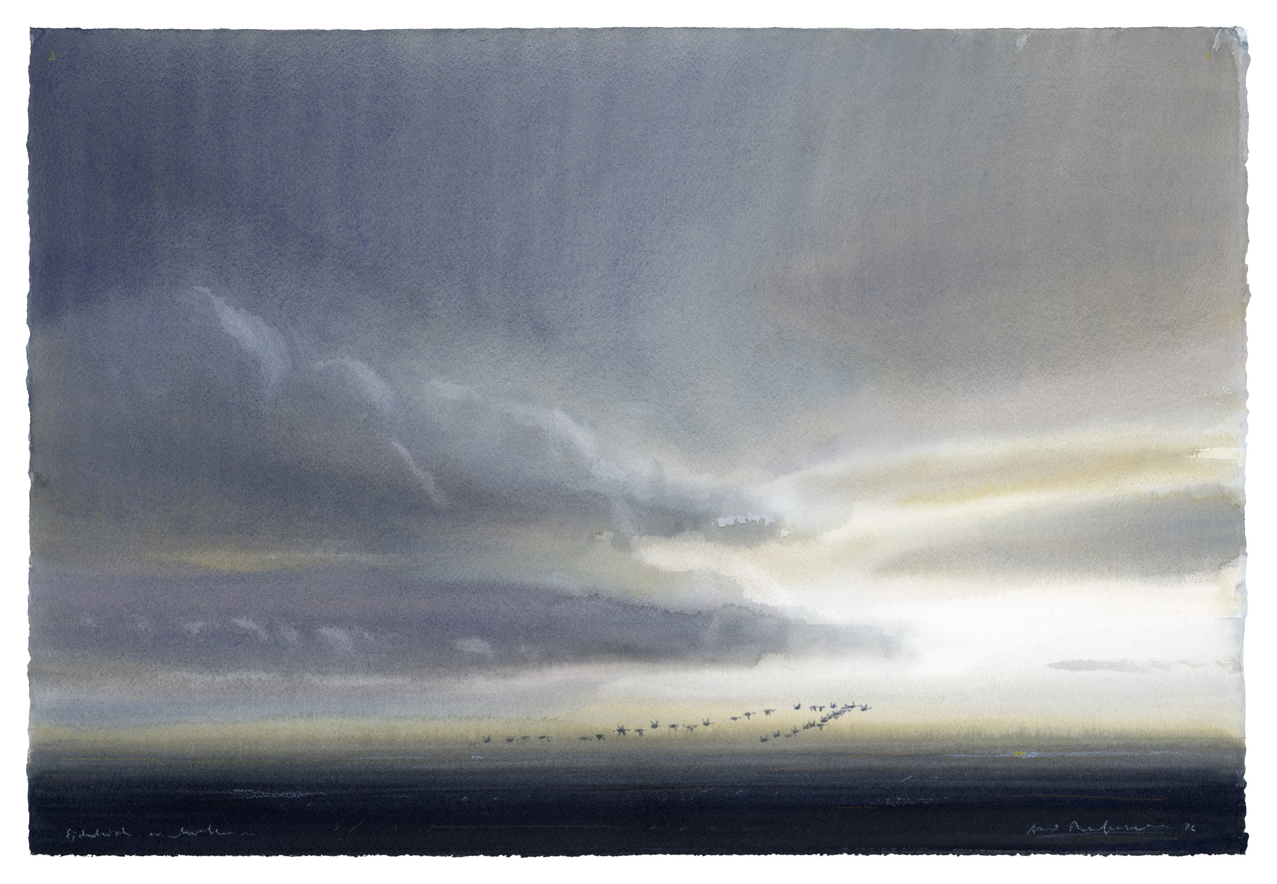 "Eveing, migrating Eiders" 2026

Watercolor on paper
38x56 cm