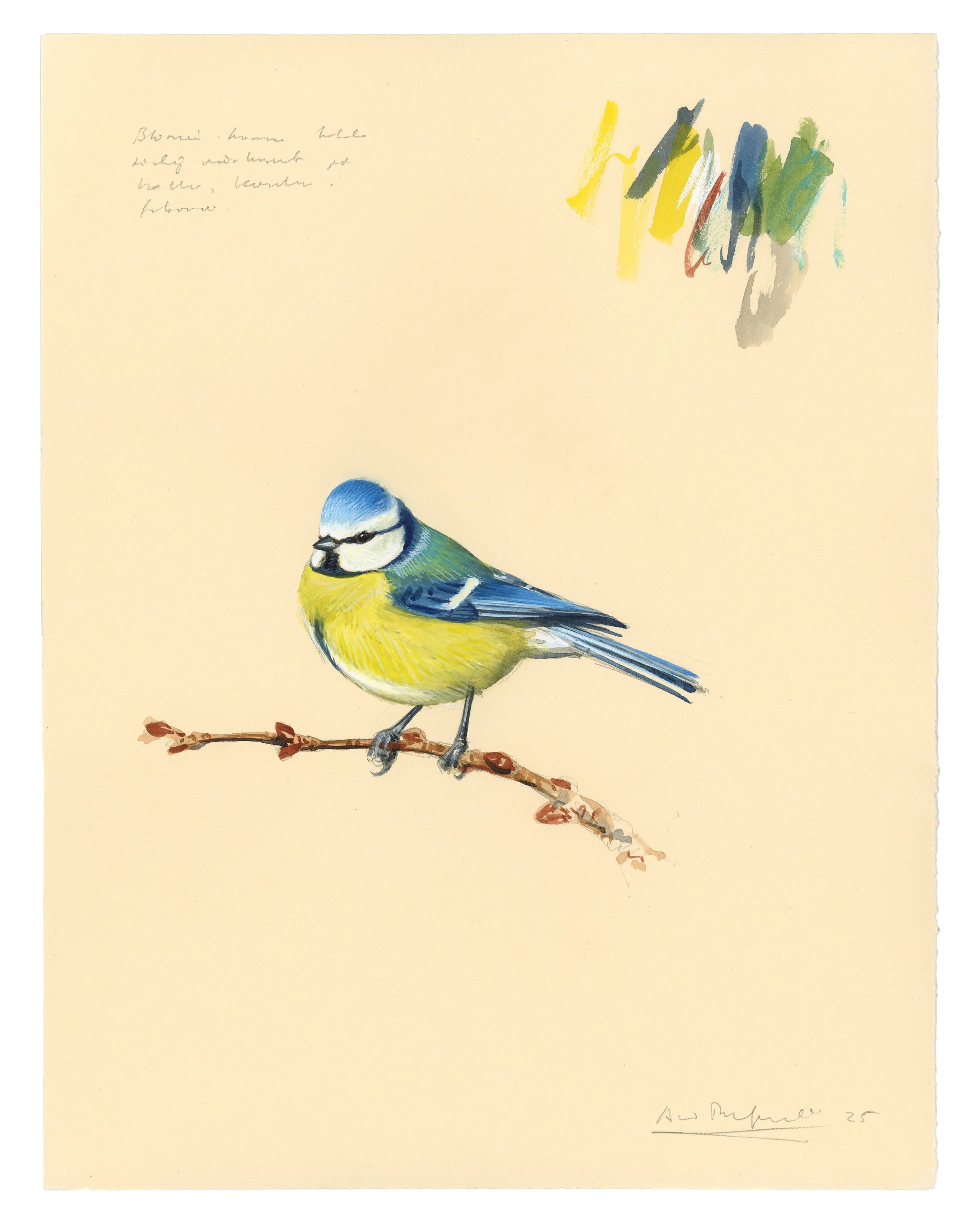 "Blue Tit" 2025

Watercolor and gouache on toned paper
32x25 cm