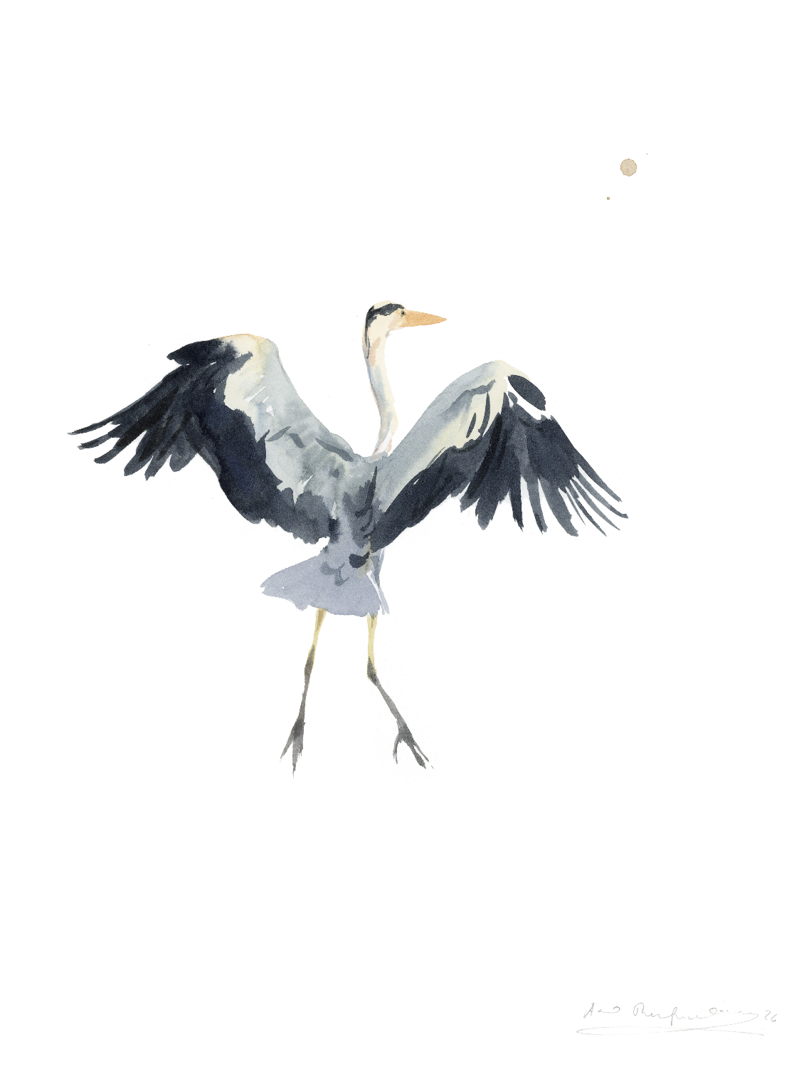 "Heron landing" 2026

Watercolor on paper
38x28 cm