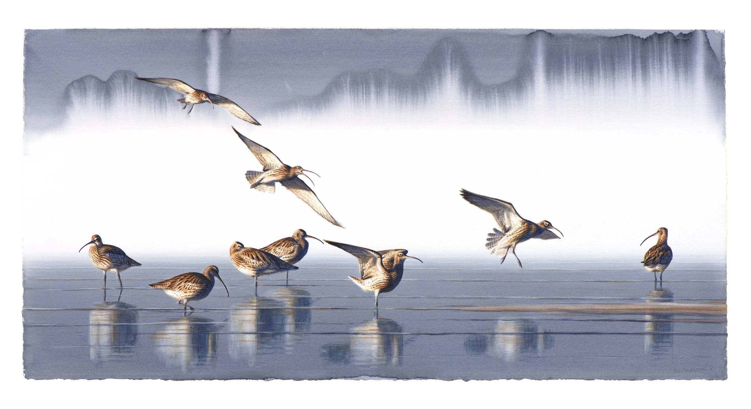 "April morning, Curlews" 2026

Watercolor on paper
76x150 cm