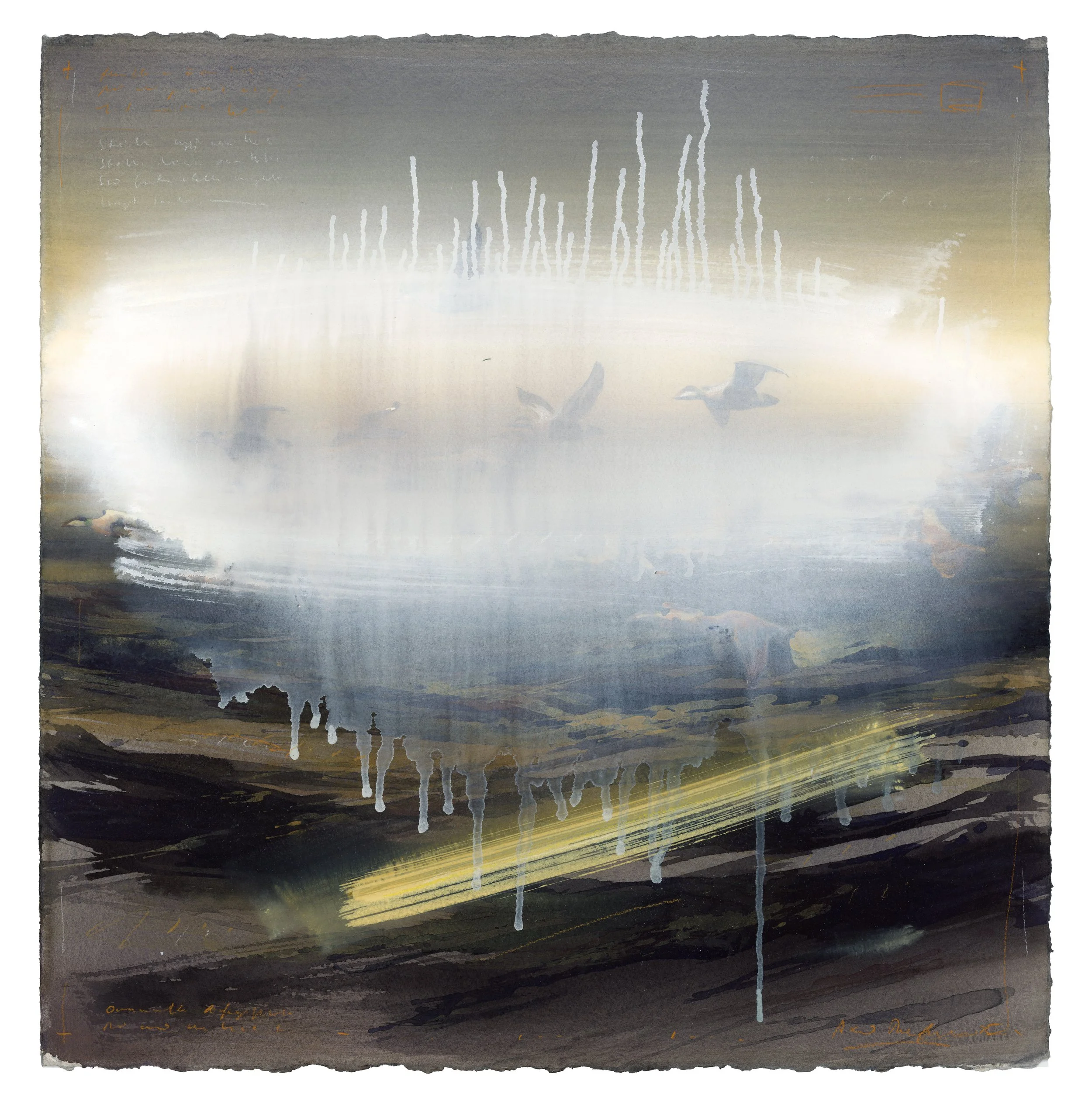 "Overpainted eider flock" 2025

Watercolor and gouache on paper
56x56 cm