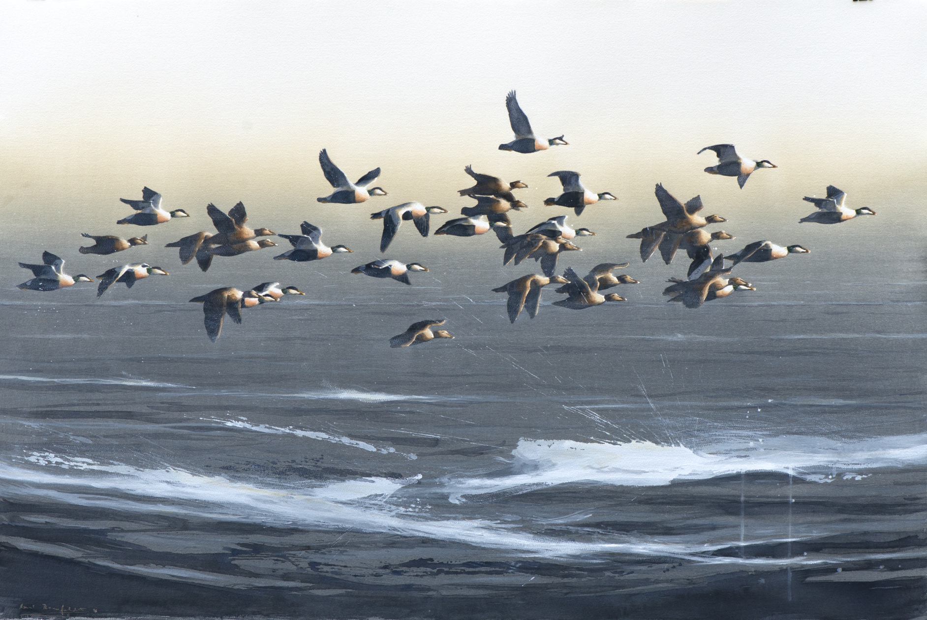 "Mist, Eiders" 2026

Watercolor on paper
100x150 cm