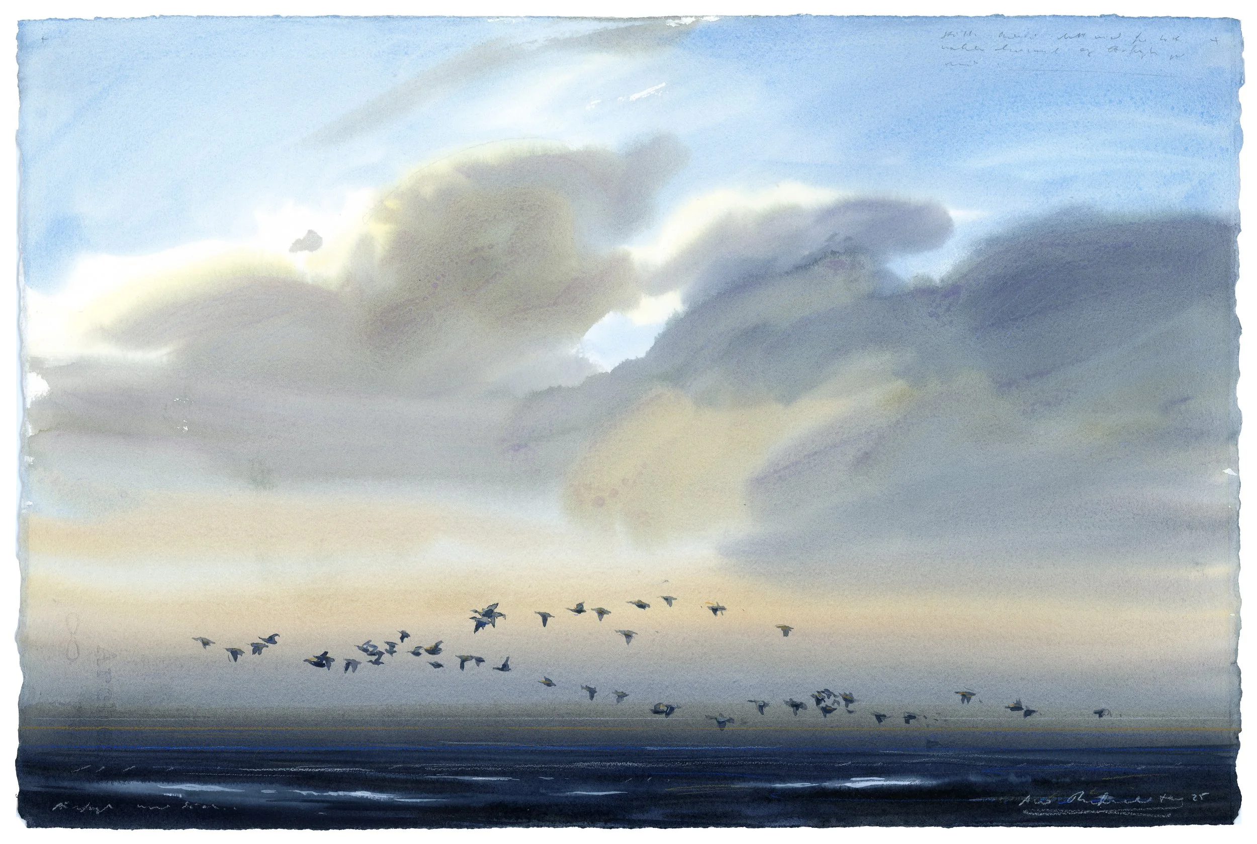 "Eveing, migrating Eiders" 2025

Watercolor on paper
38x56 cm