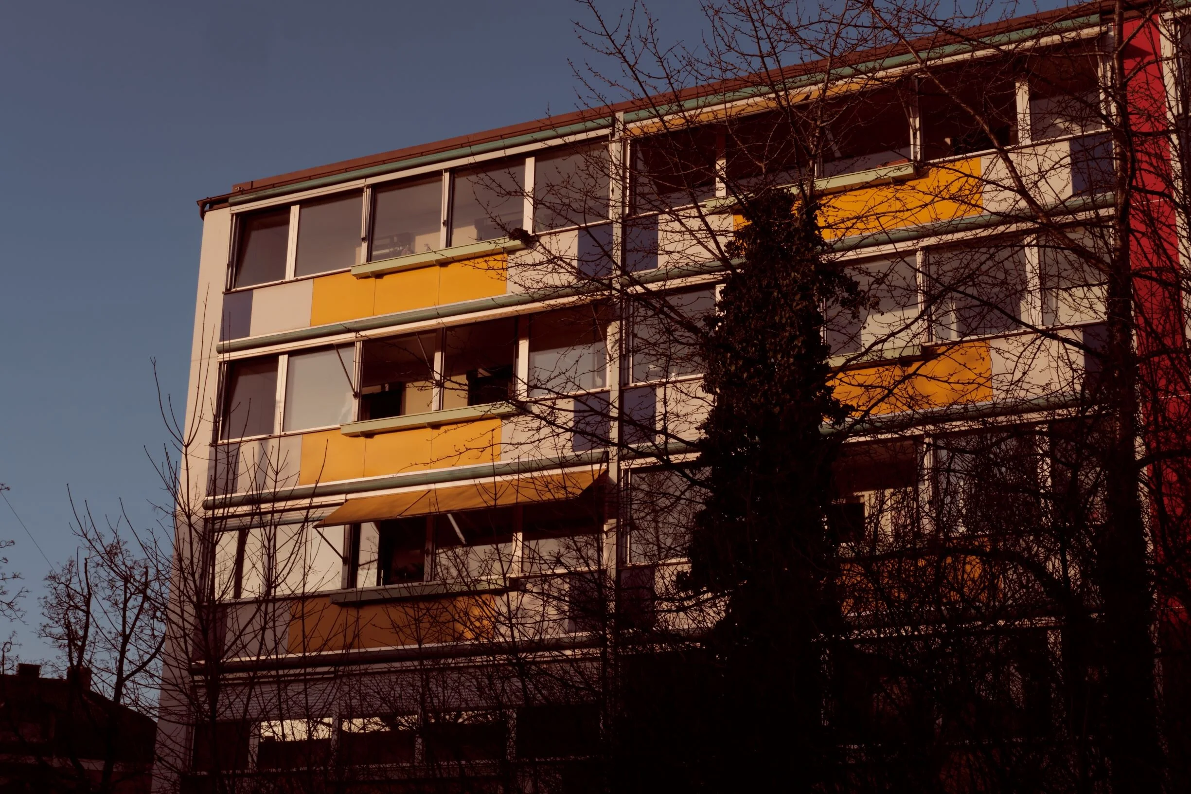 DSCF5197_L.jpg