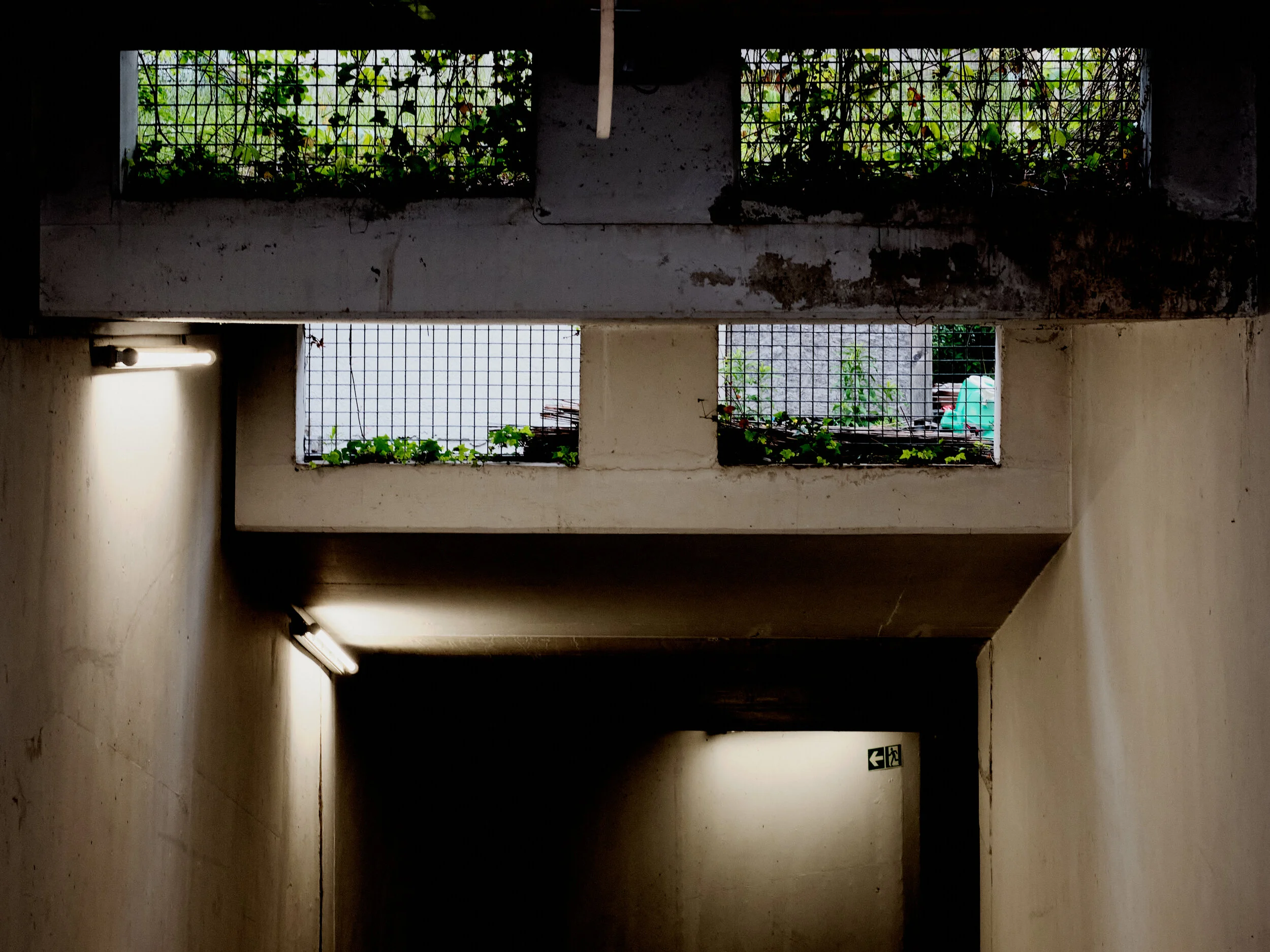 DSCF3754.jpg