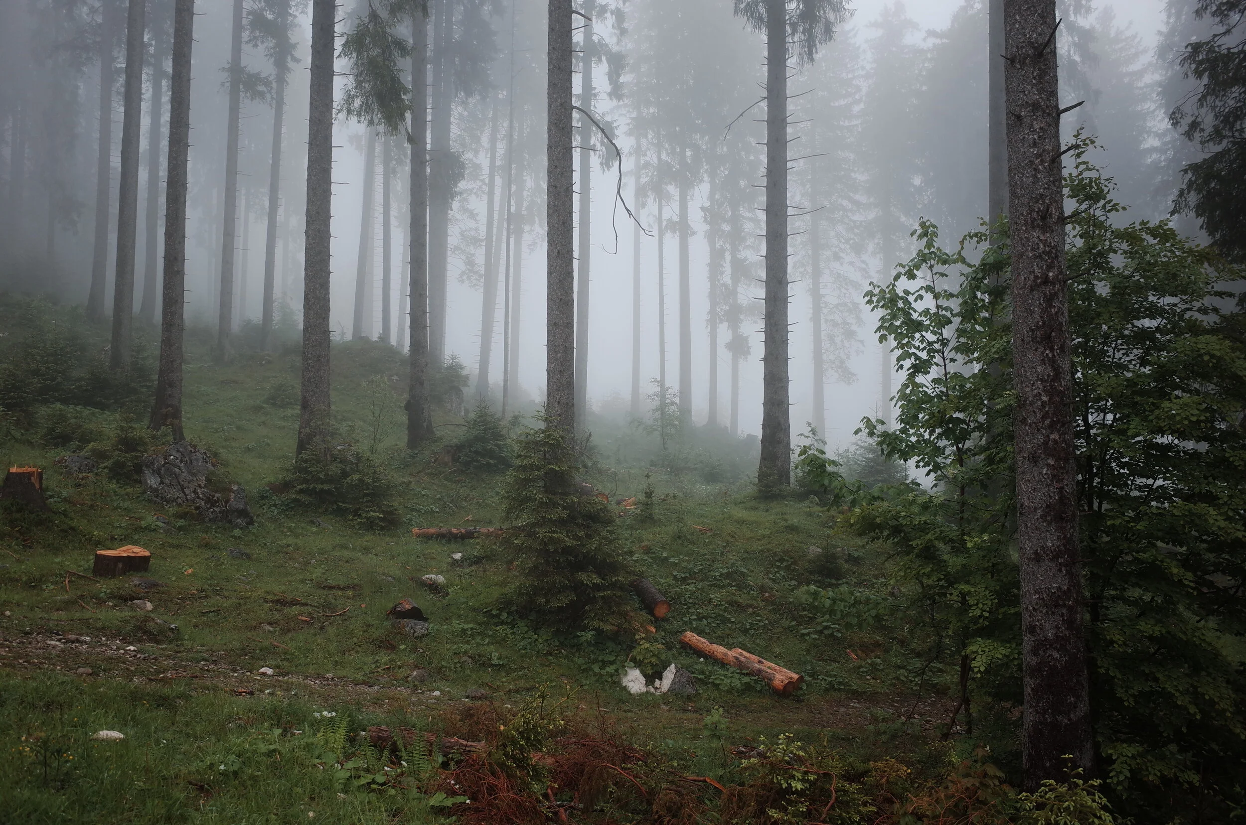 R0011129.JPG