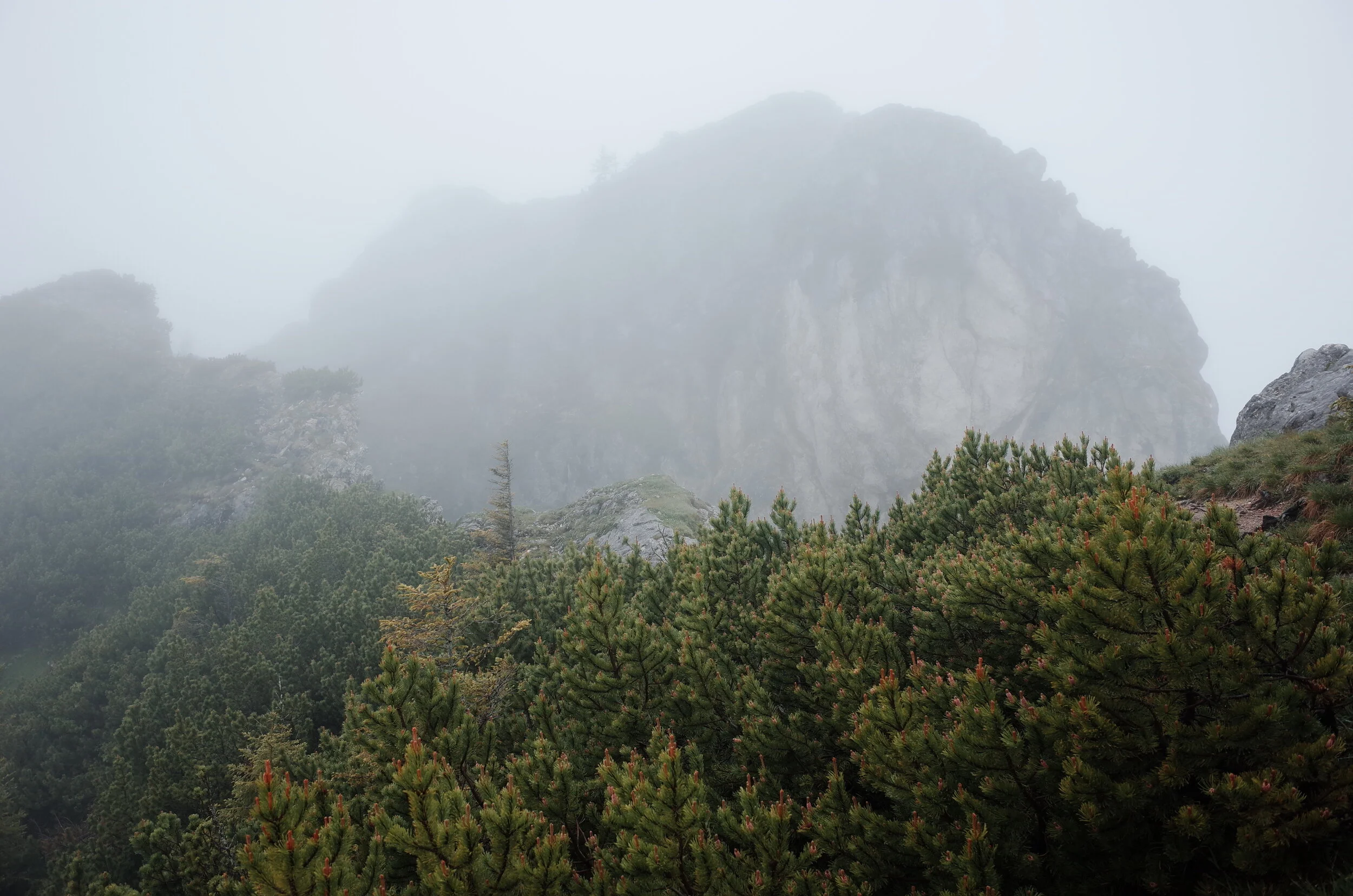 R0011157.JPG