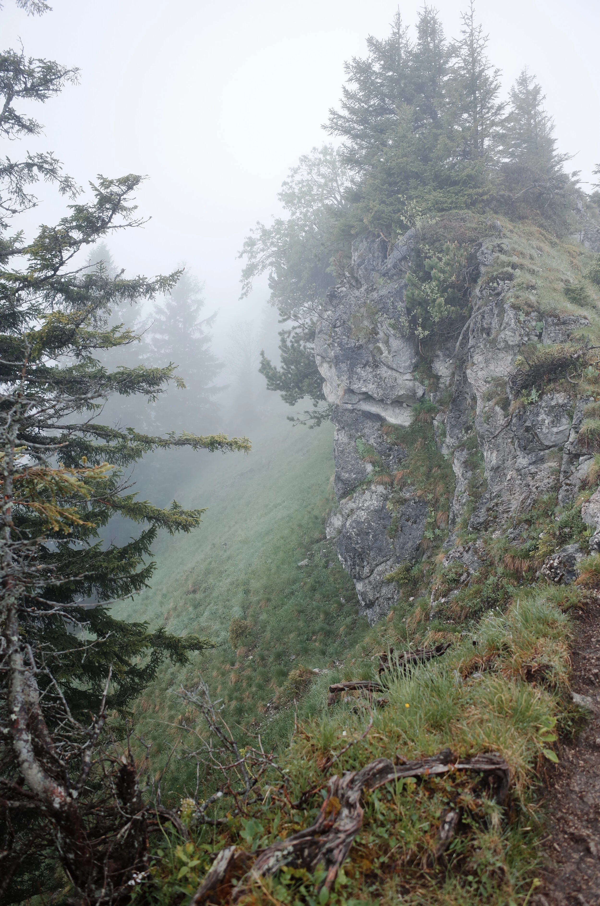 R0011151.JPG
