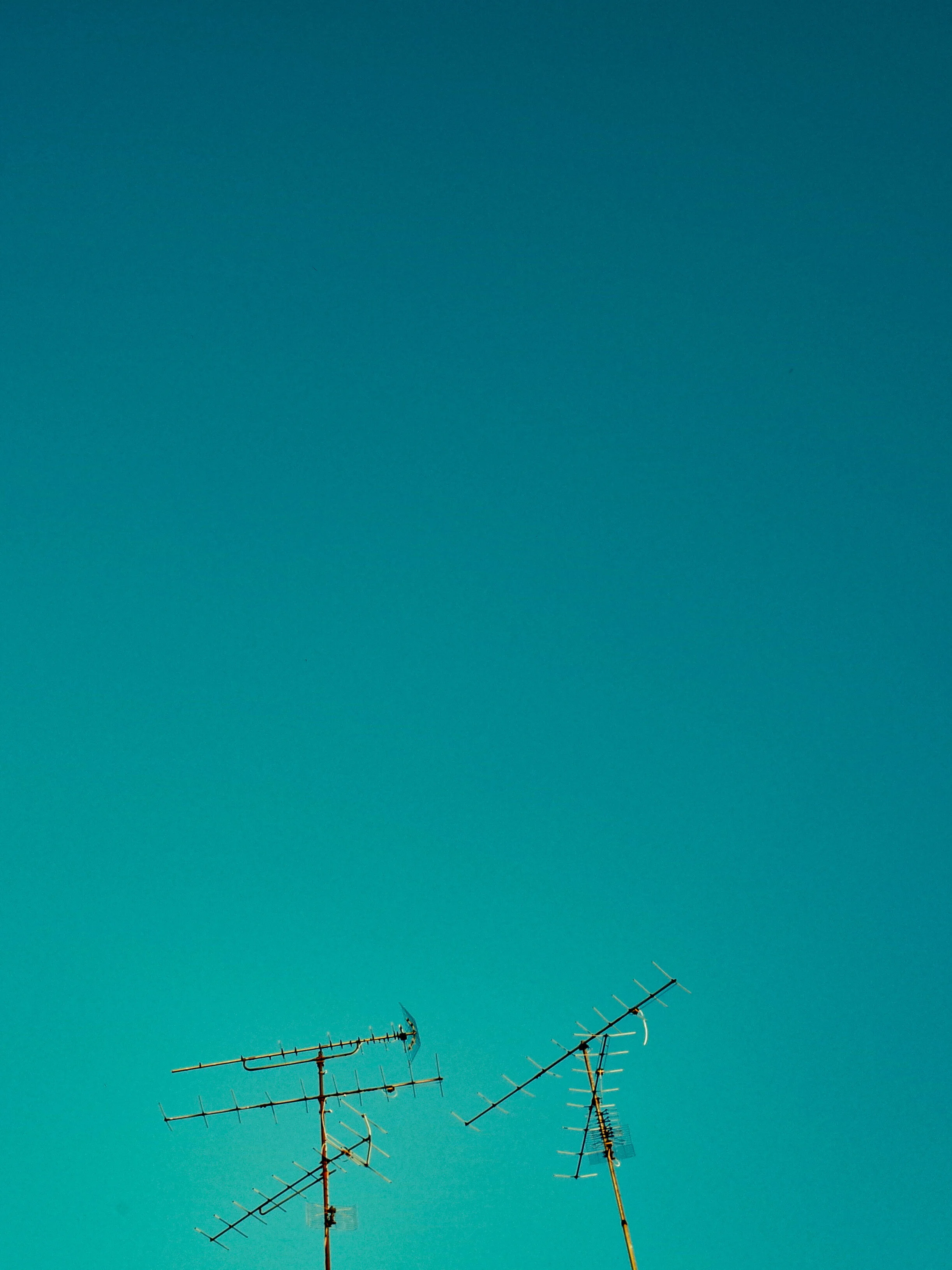 R0011880-01_polarr.jpg