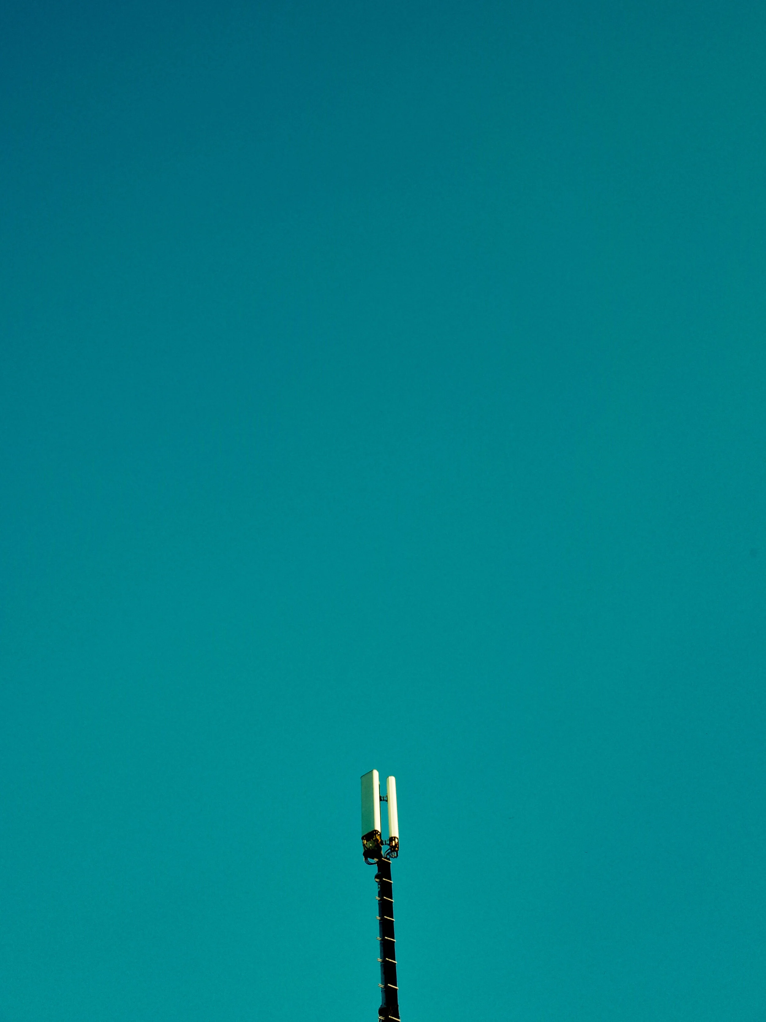 R0011874-01_polarr.jpg