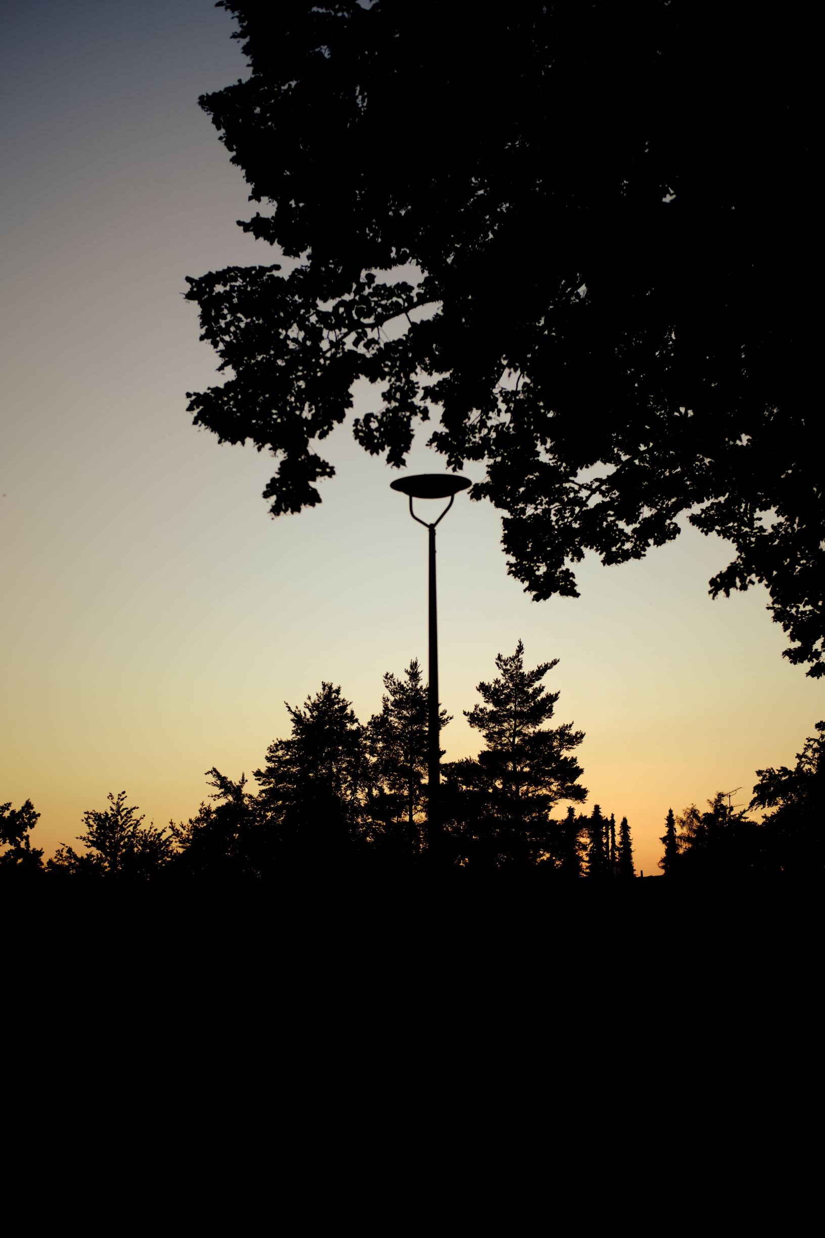 DSCF4386_L.jpg