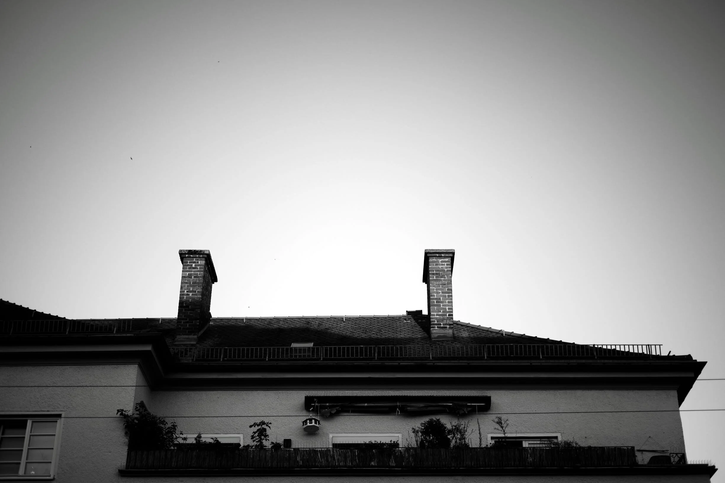 DSCF4376_L.jpg
