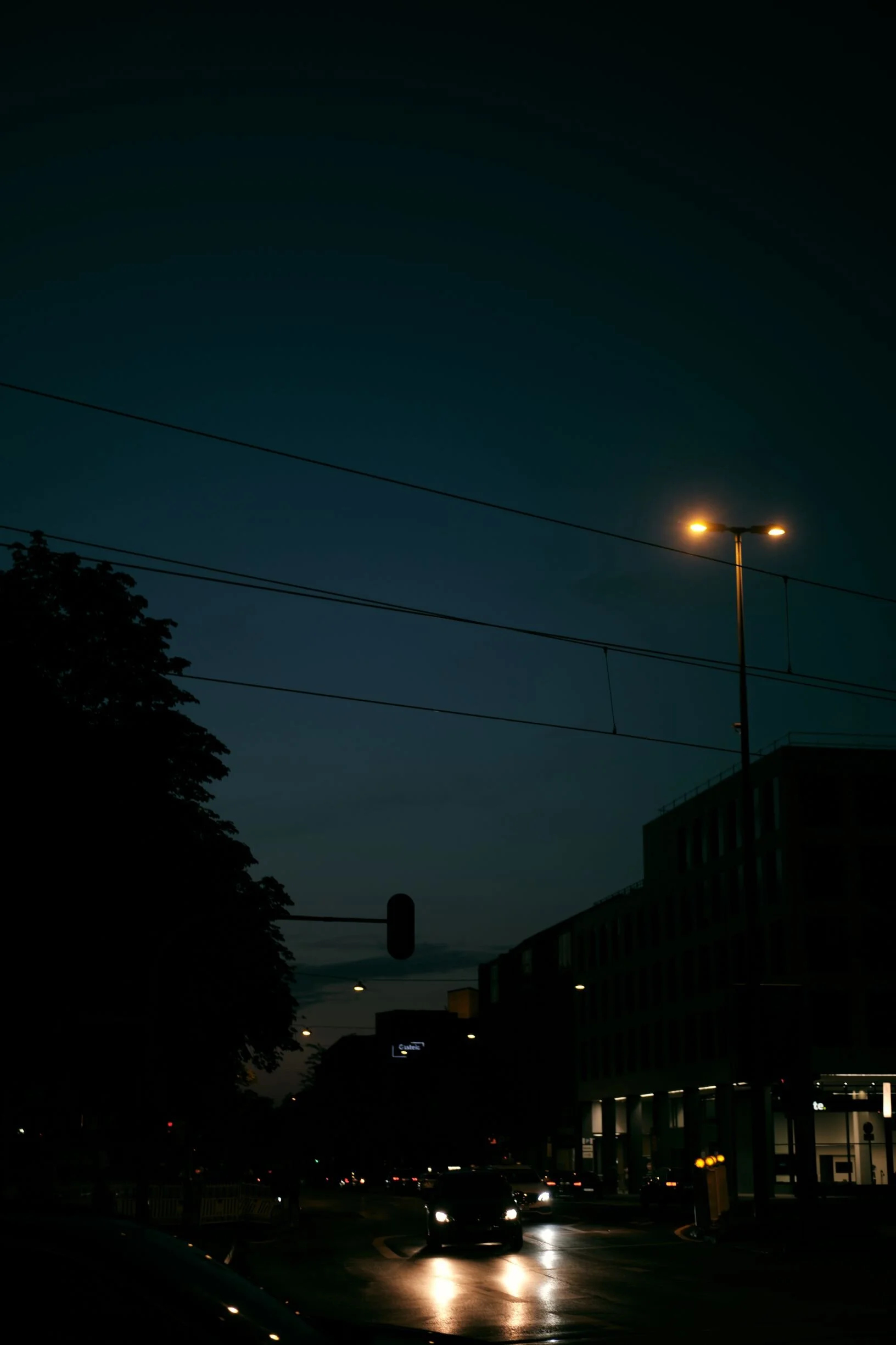 DSCF4865_L.jpg