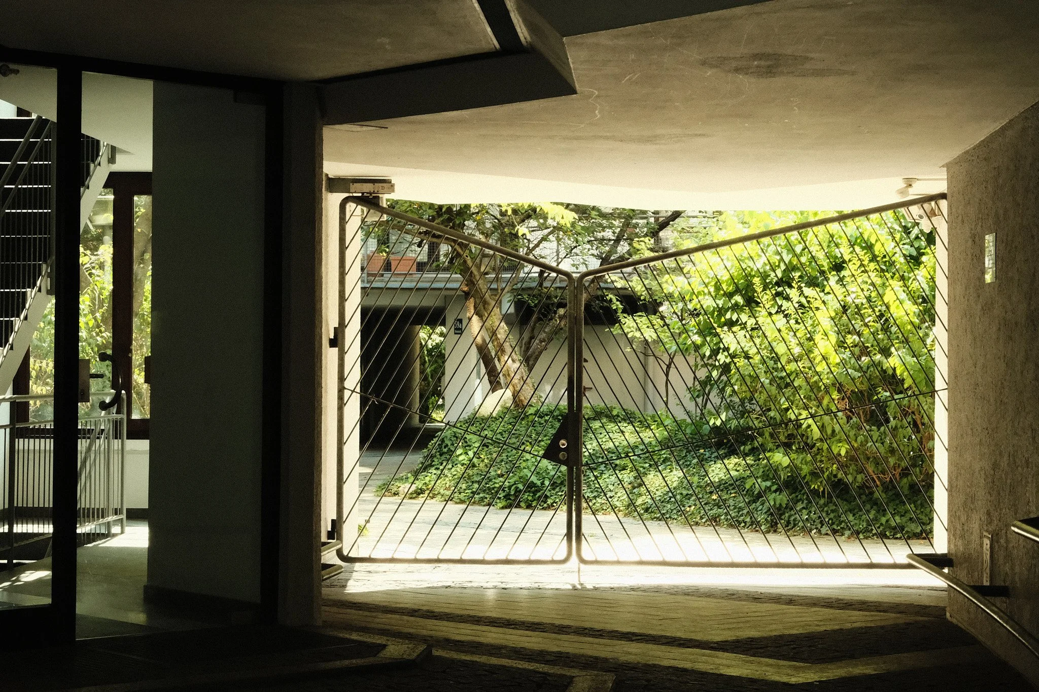 DSCF1072 1.jpg