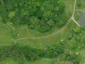 Aerial showing 'desire line' in upper flower meadow