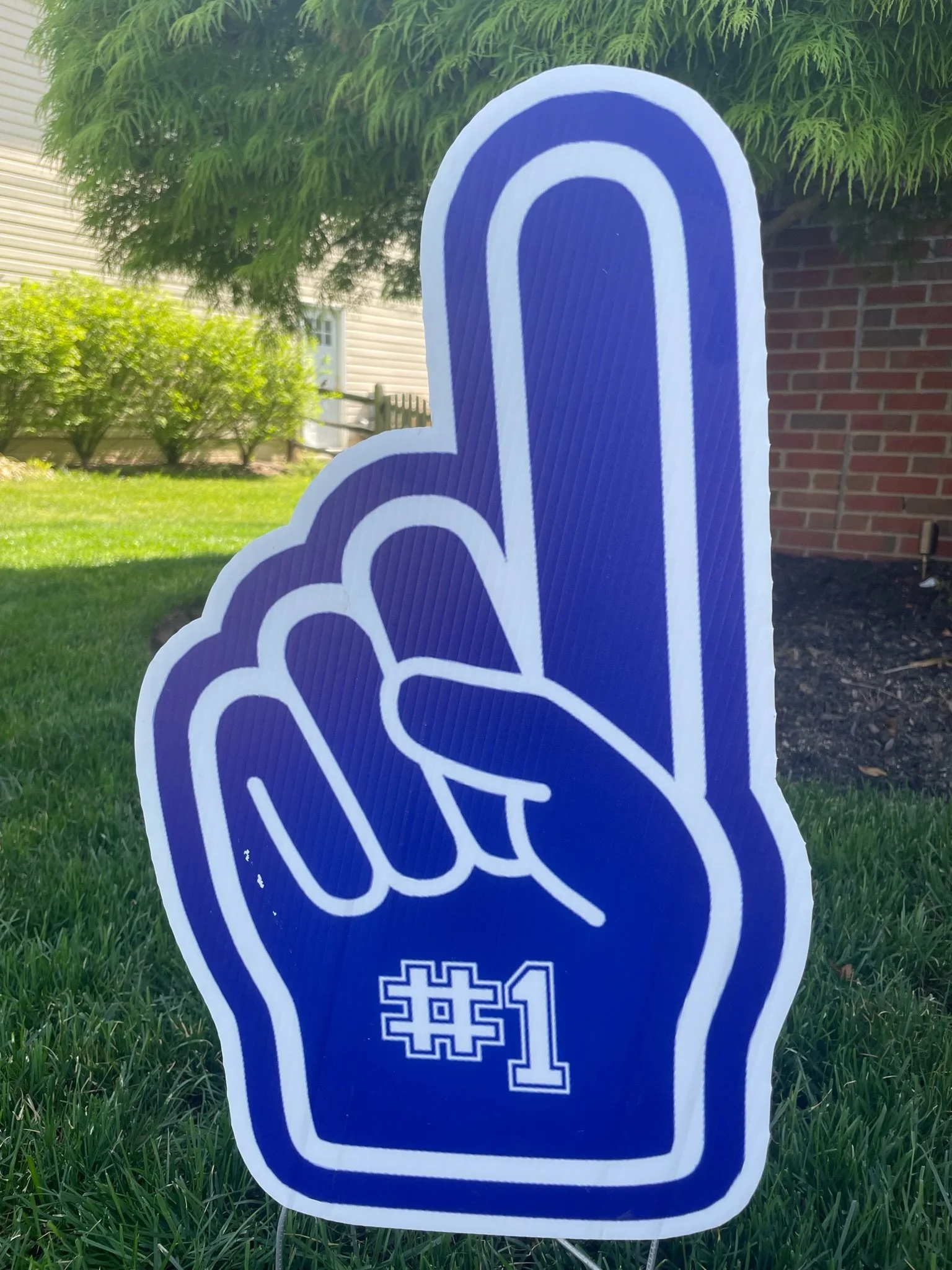 Foam Finger