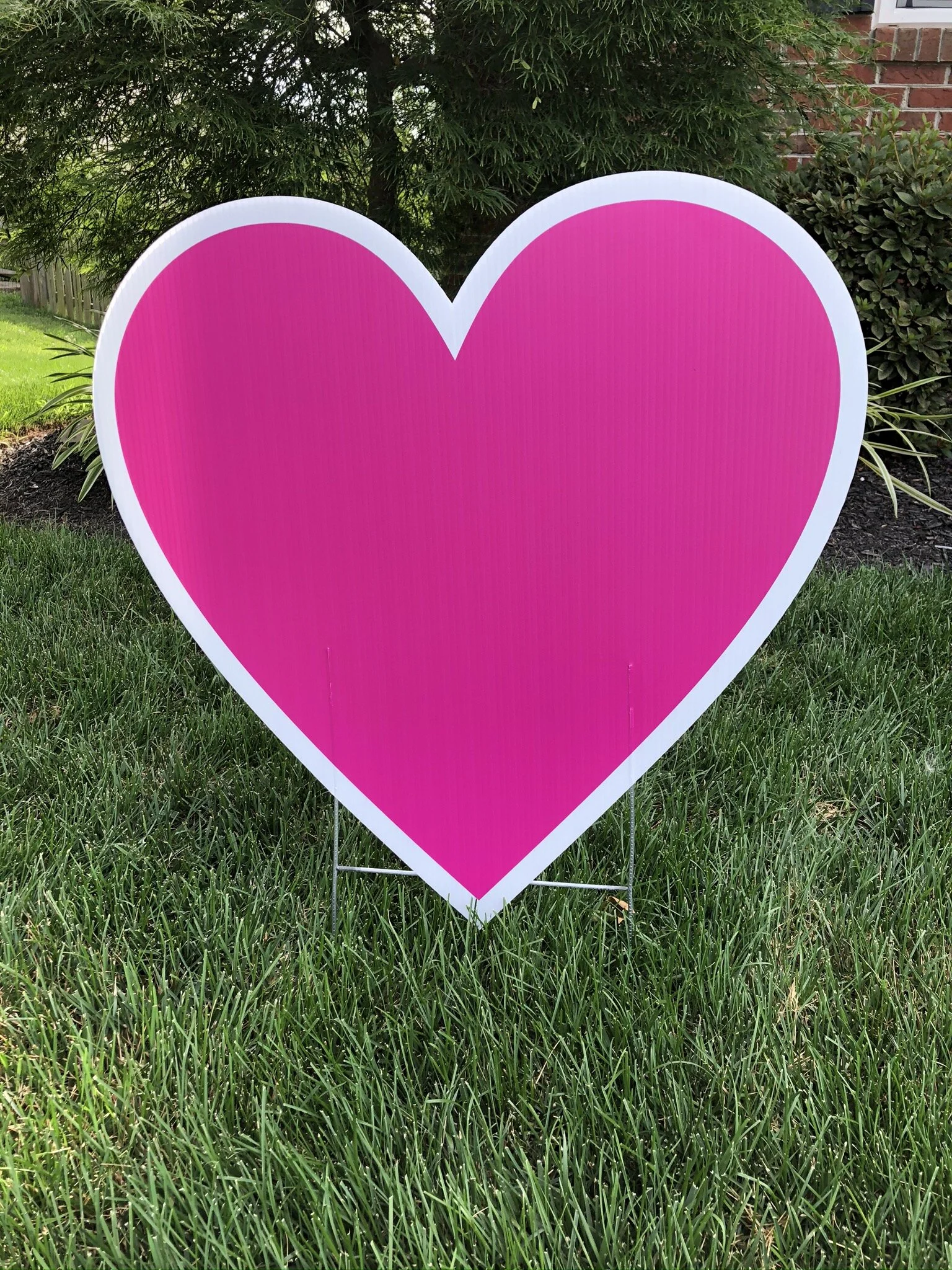 Pink Heart