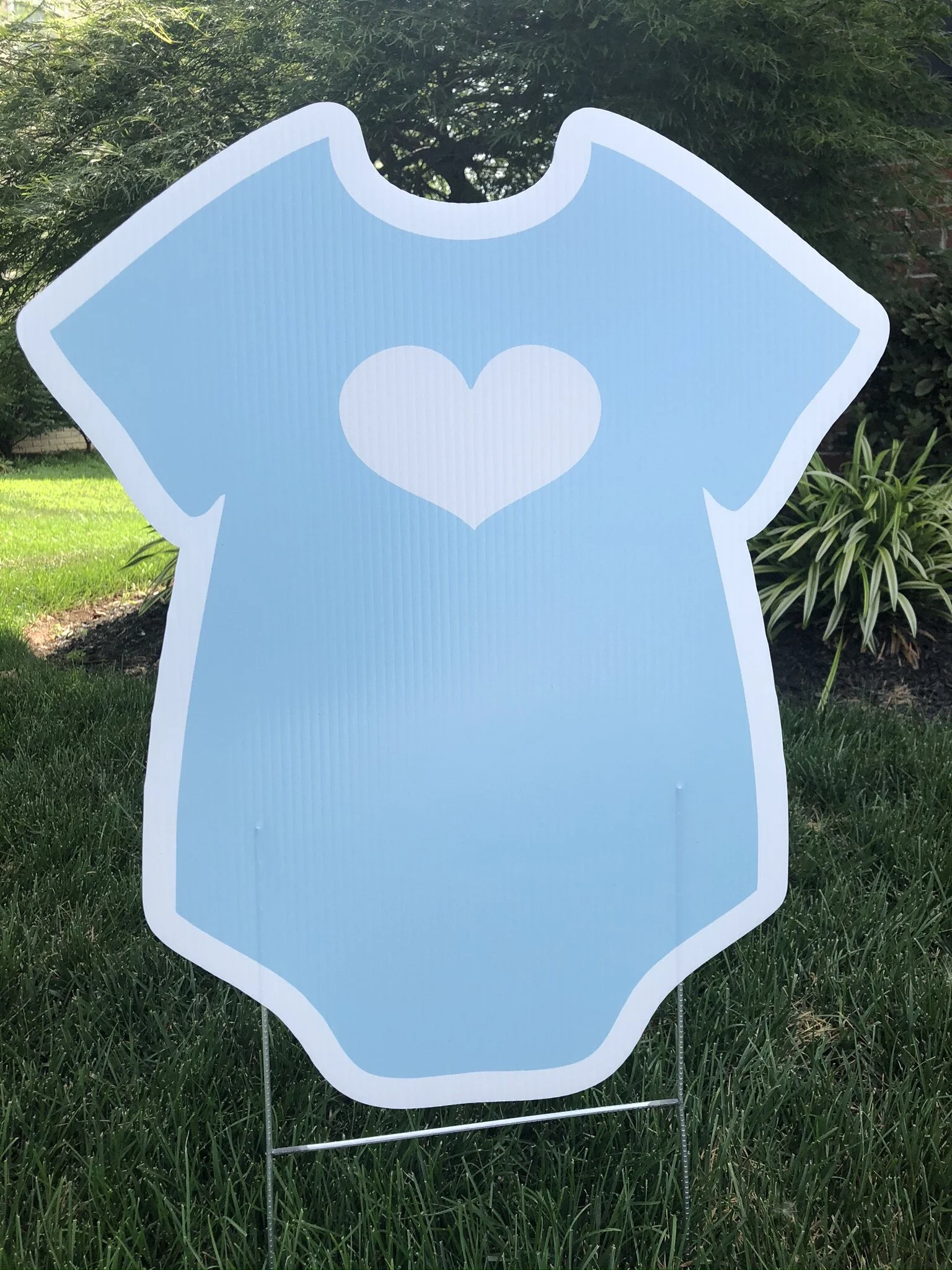 Blue Onesie