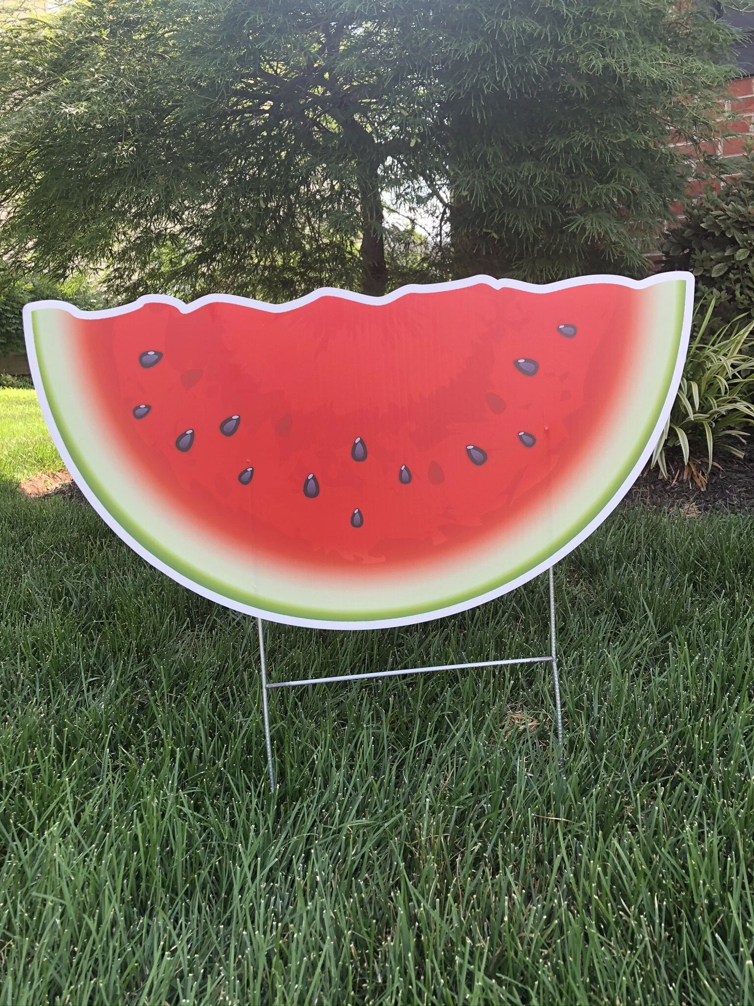 Watermelon Slice
