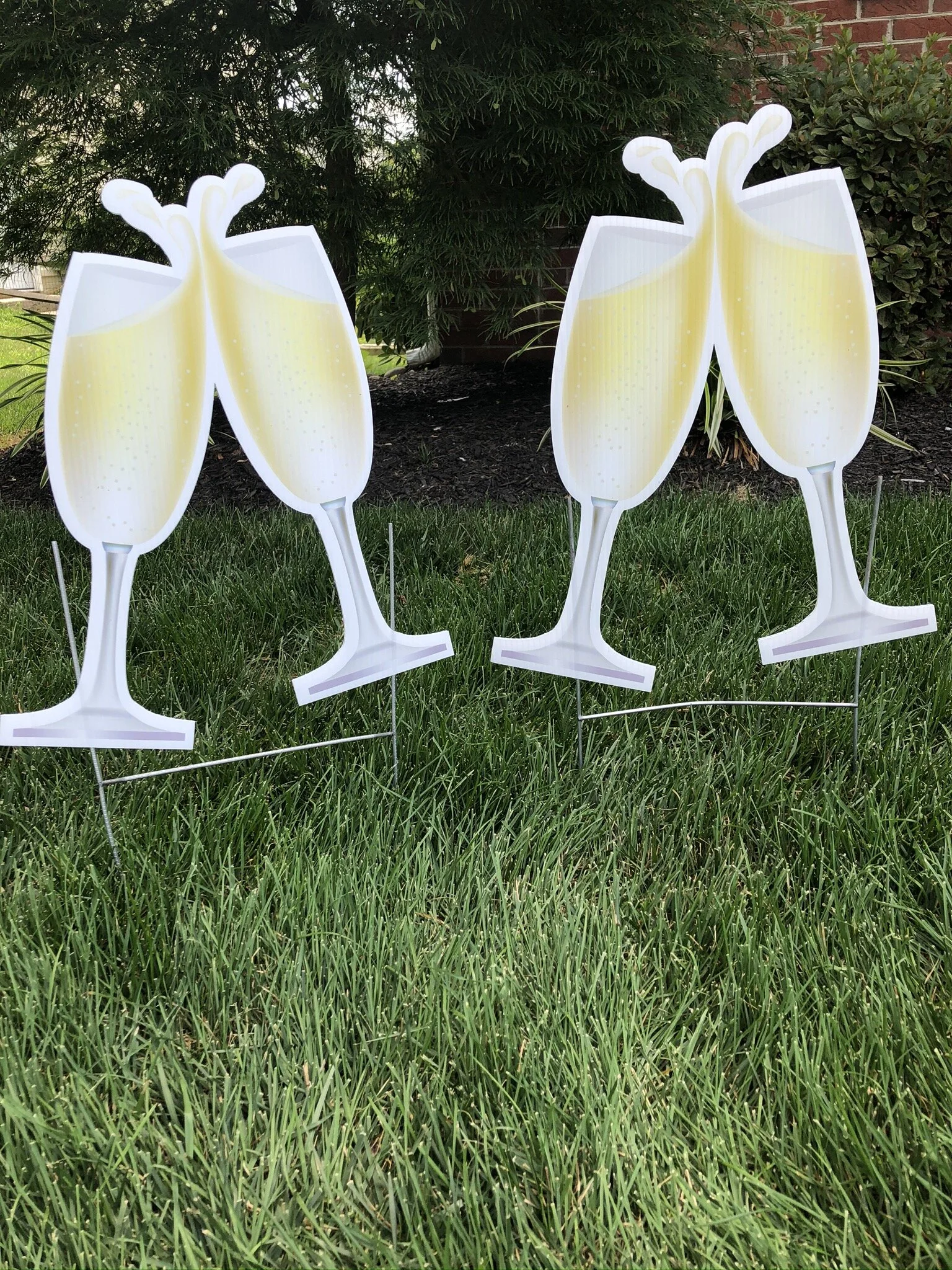 Champagne glasses