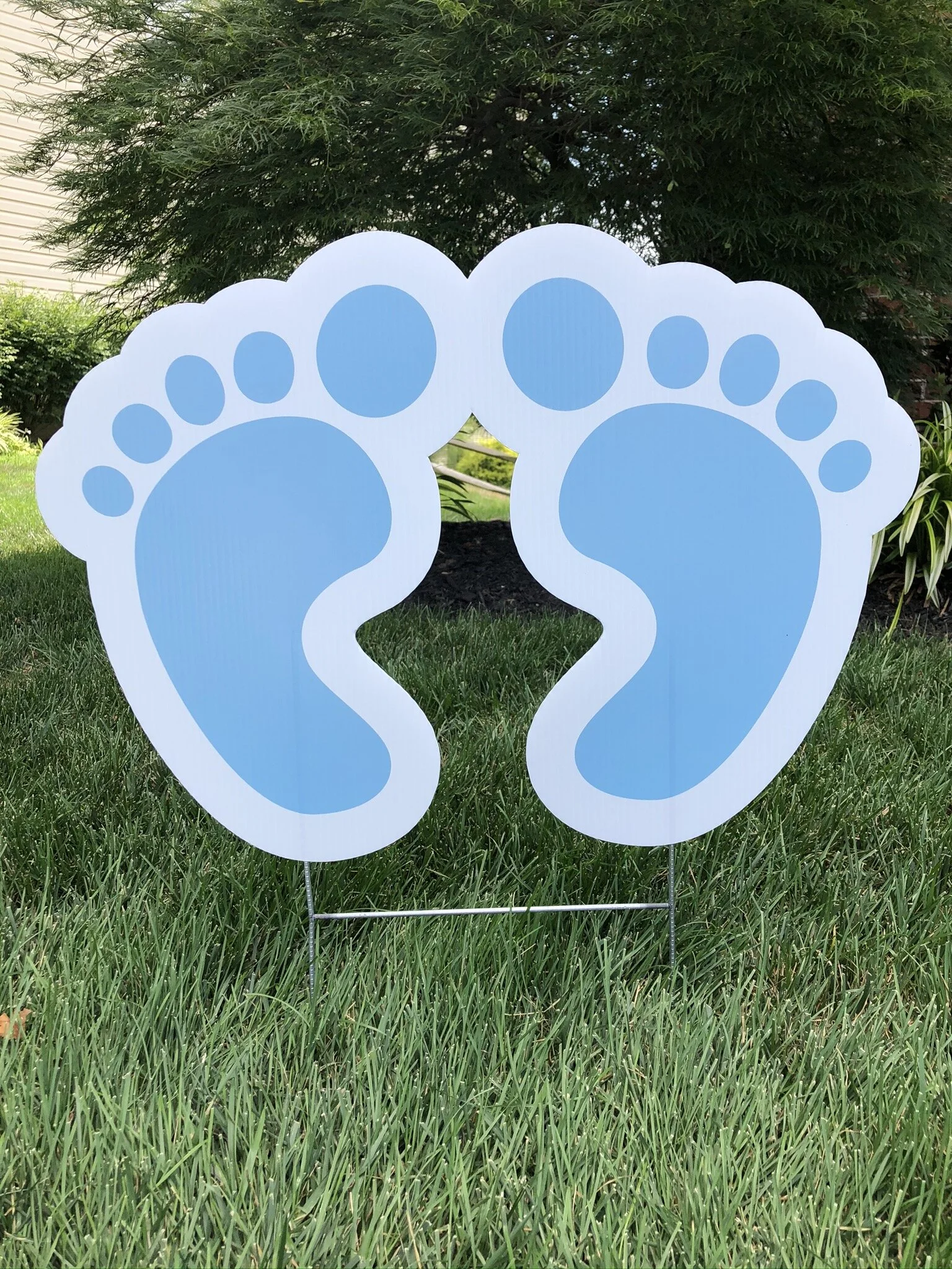 Blue Baby Feet