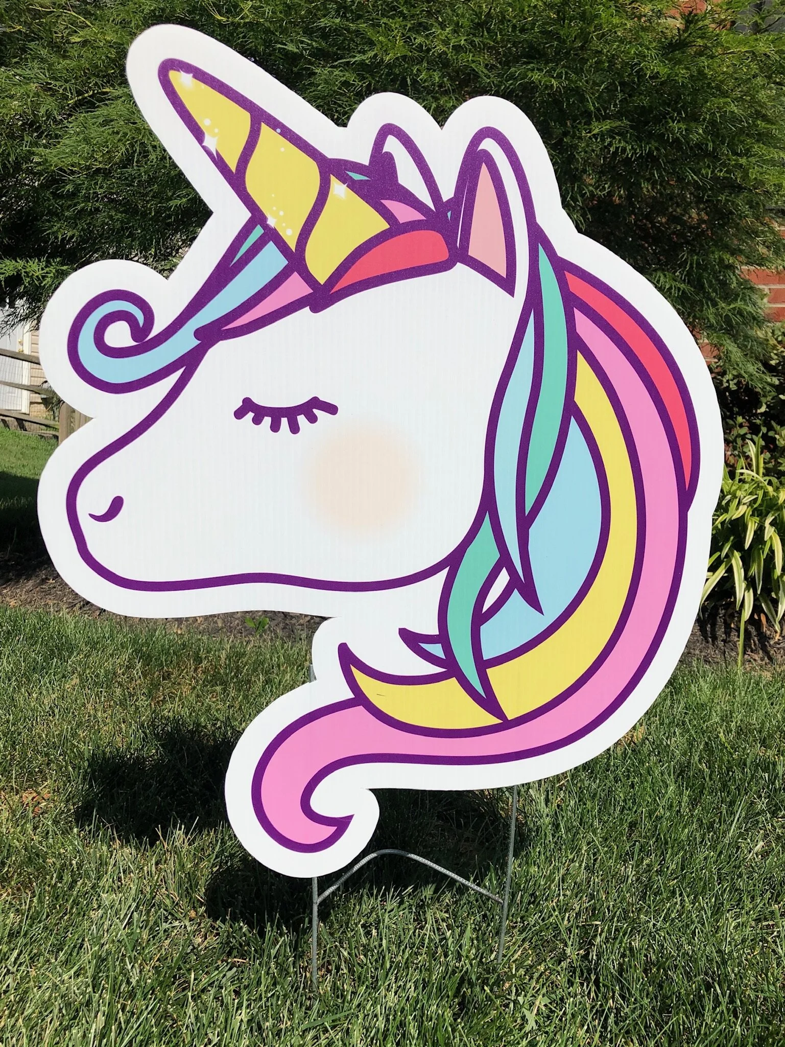 Unicorn