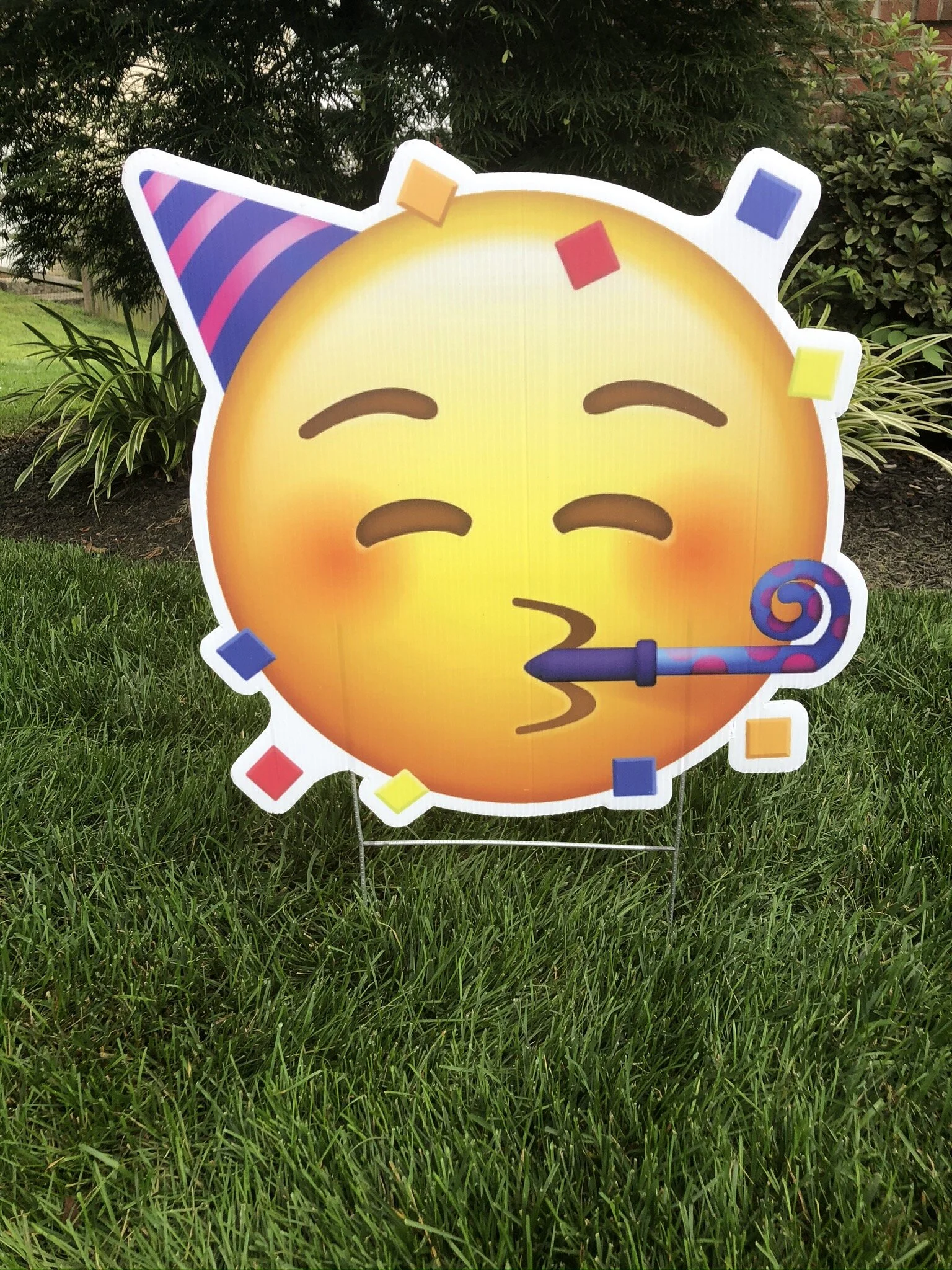Celebrate Emoji