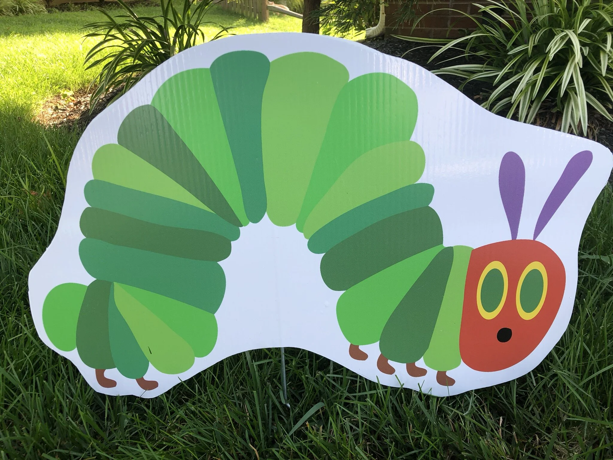 Hungry Caterpillar