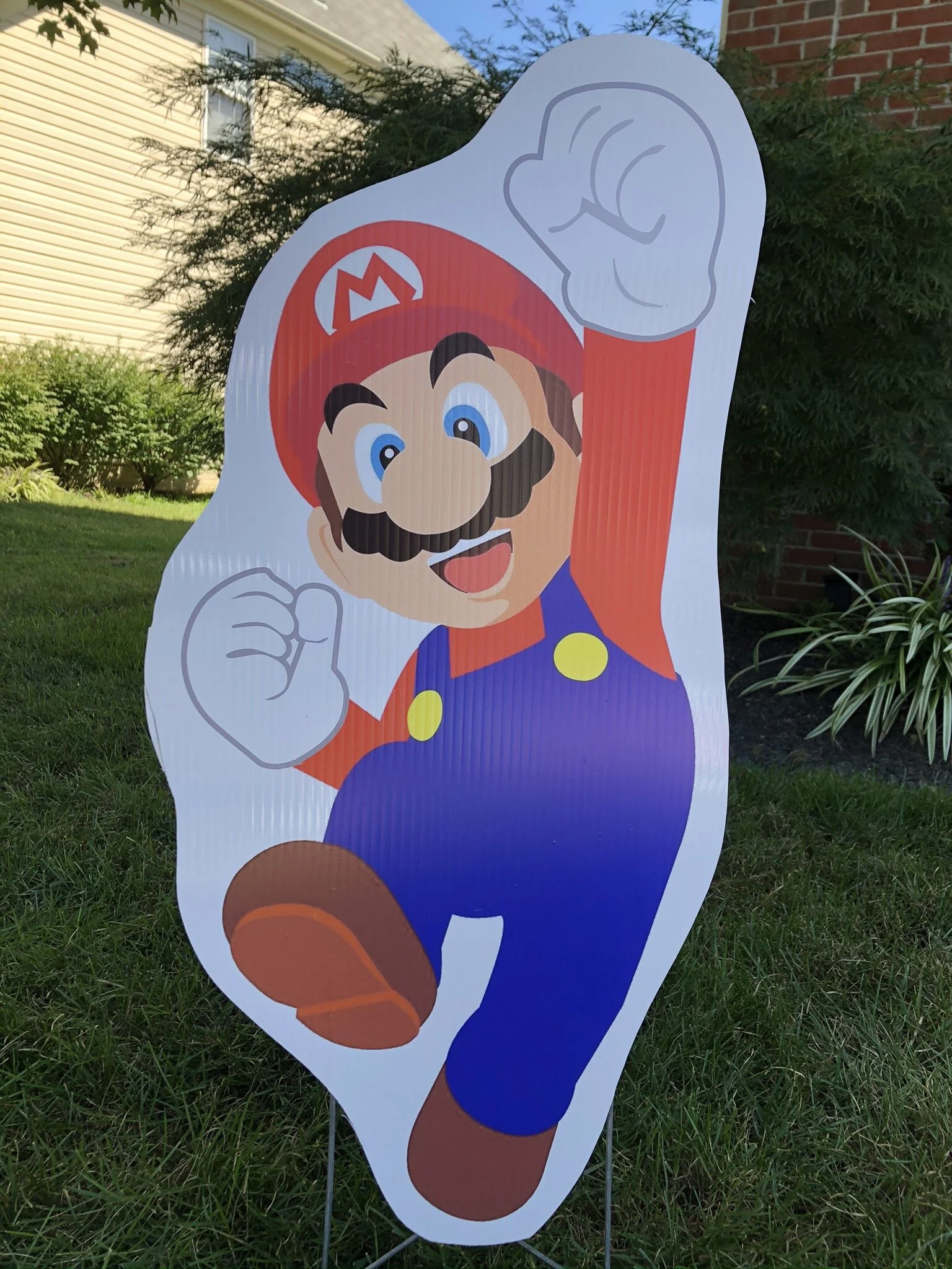 Full Body Mario