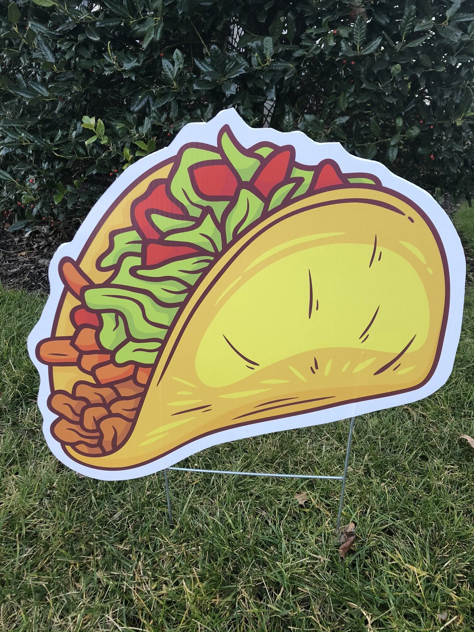 Taco