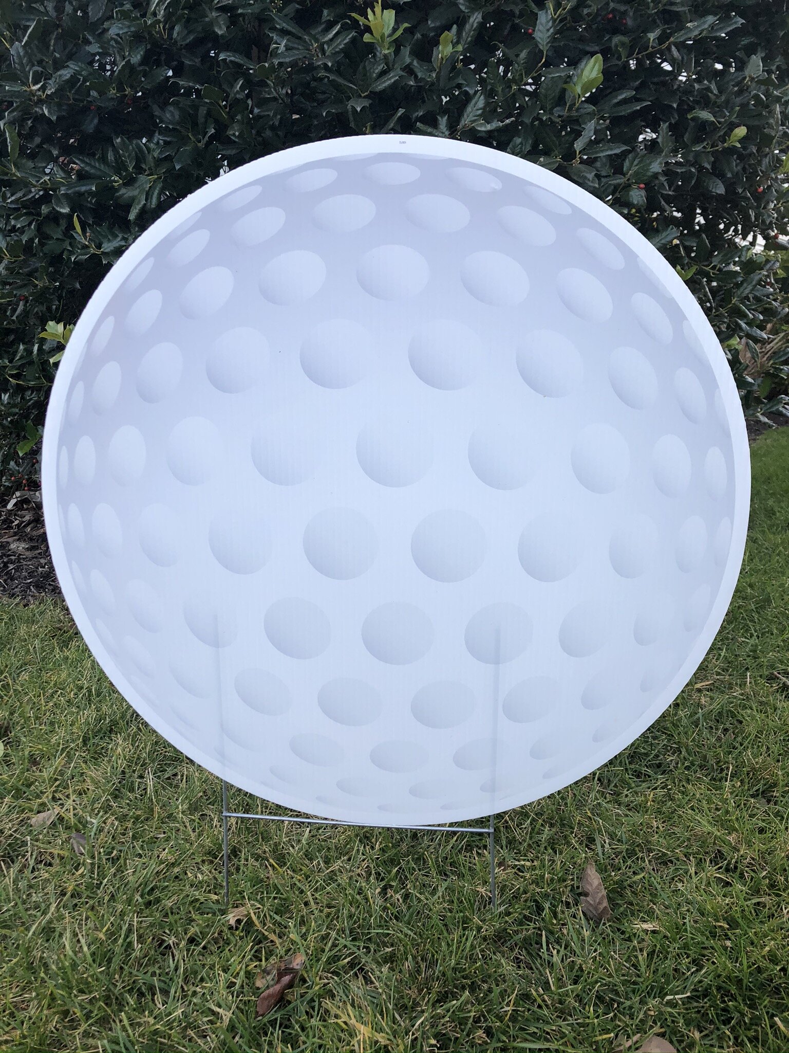 Golf ball