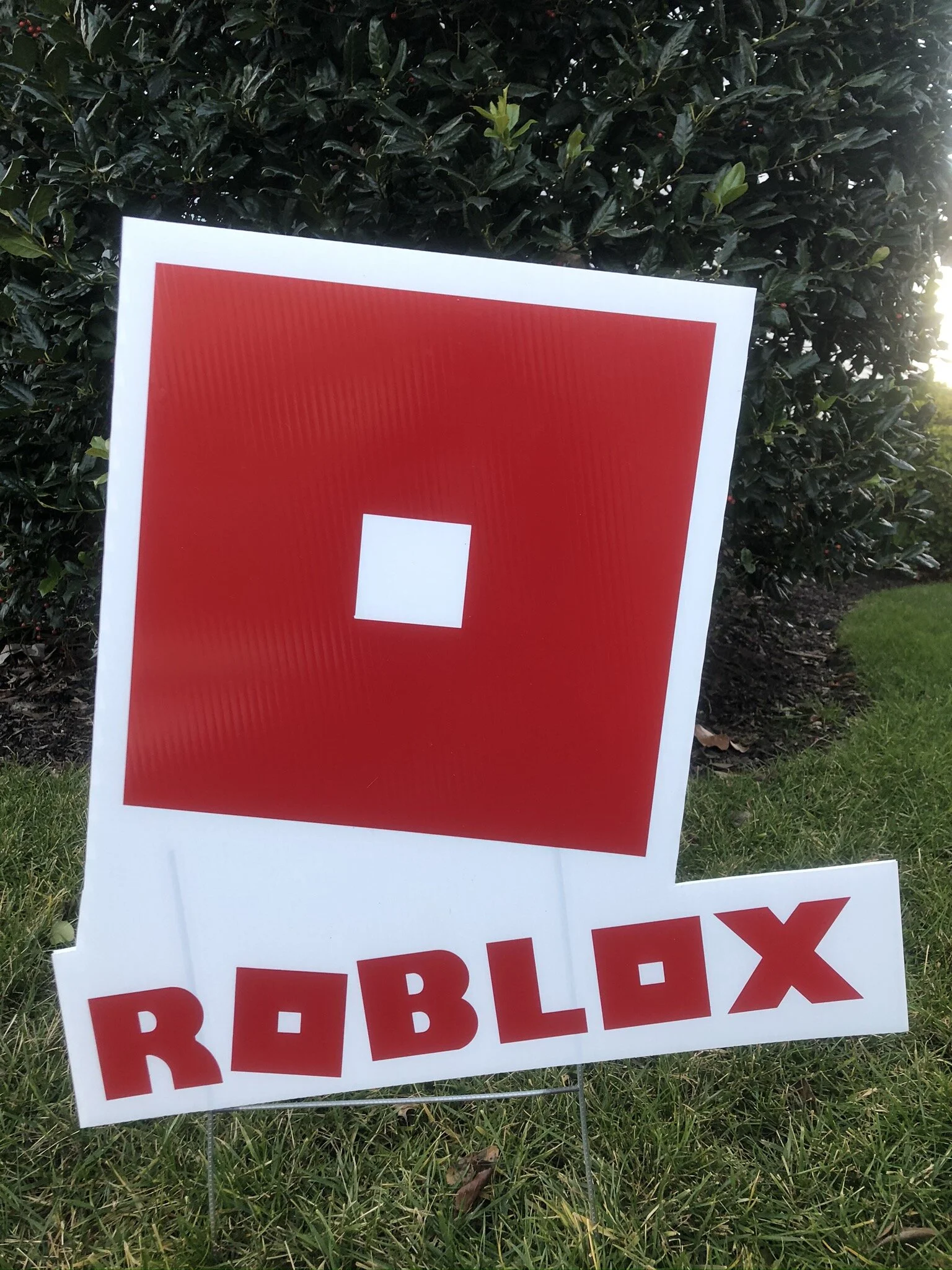 Roblox