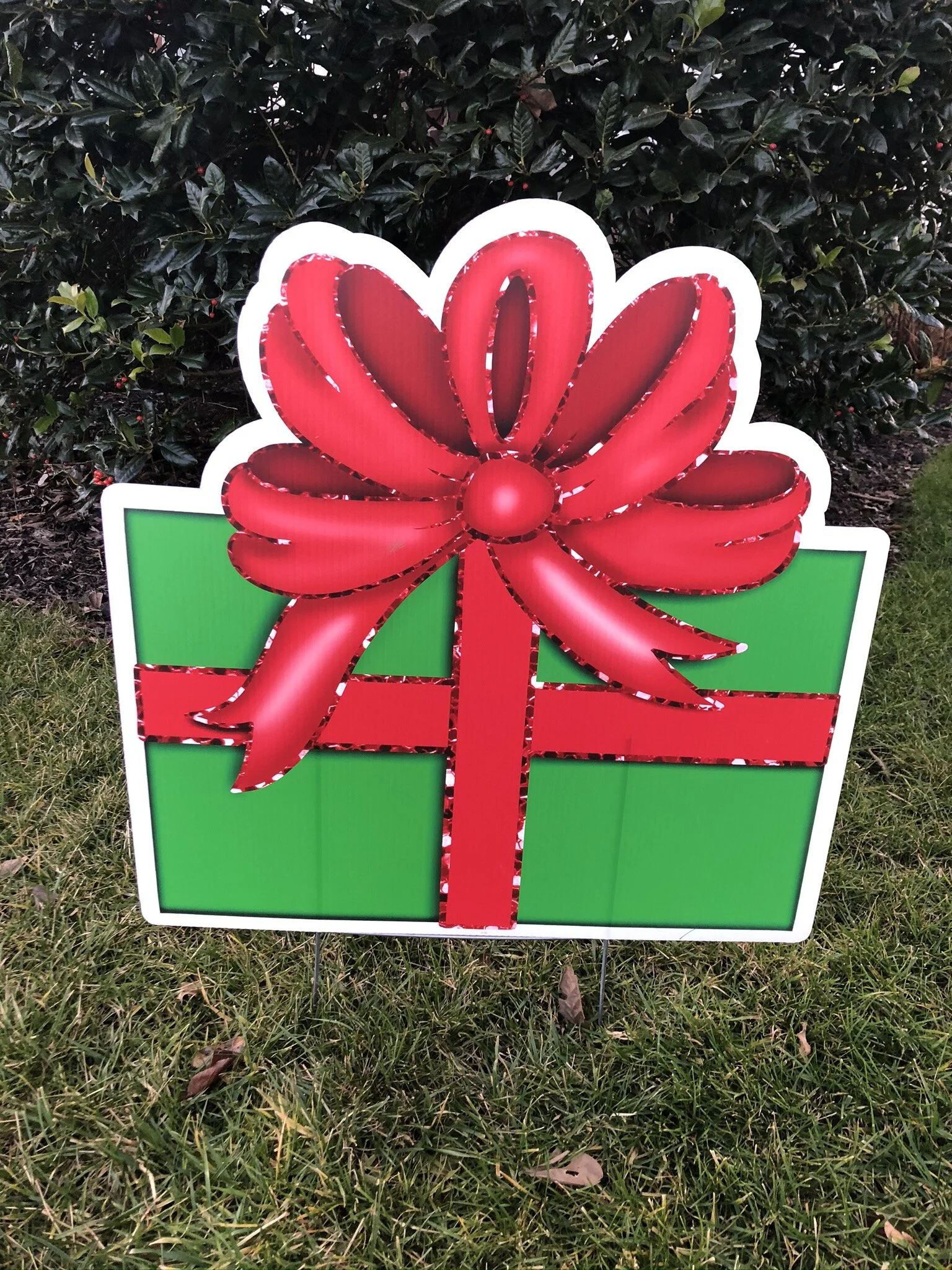 Red and Green Present