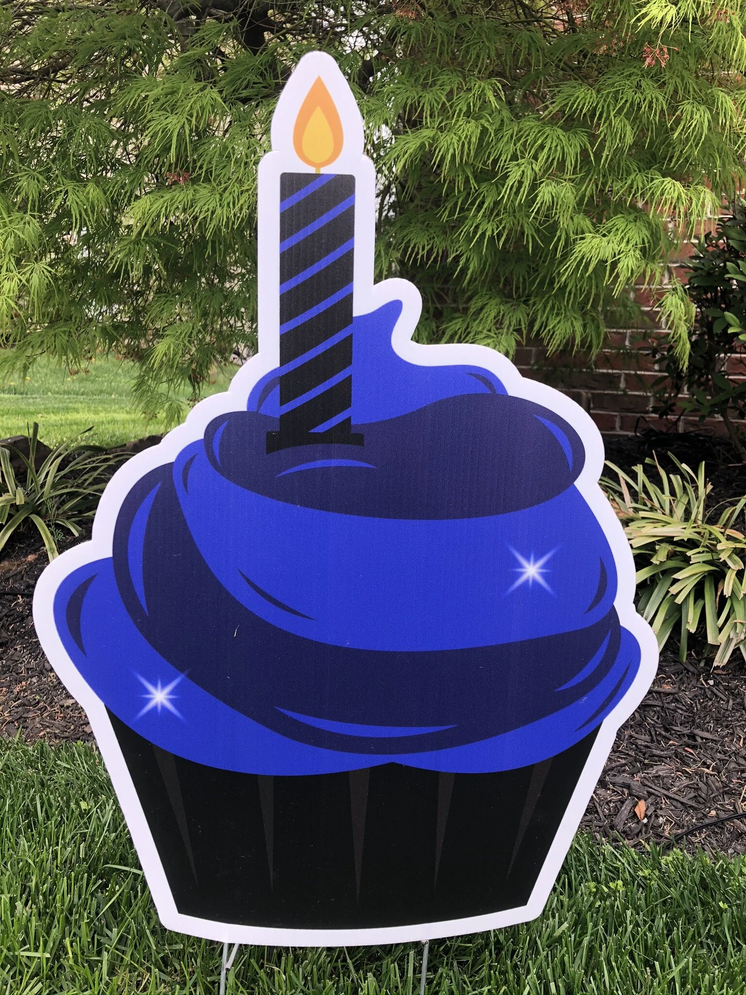 Blue and black cupcake