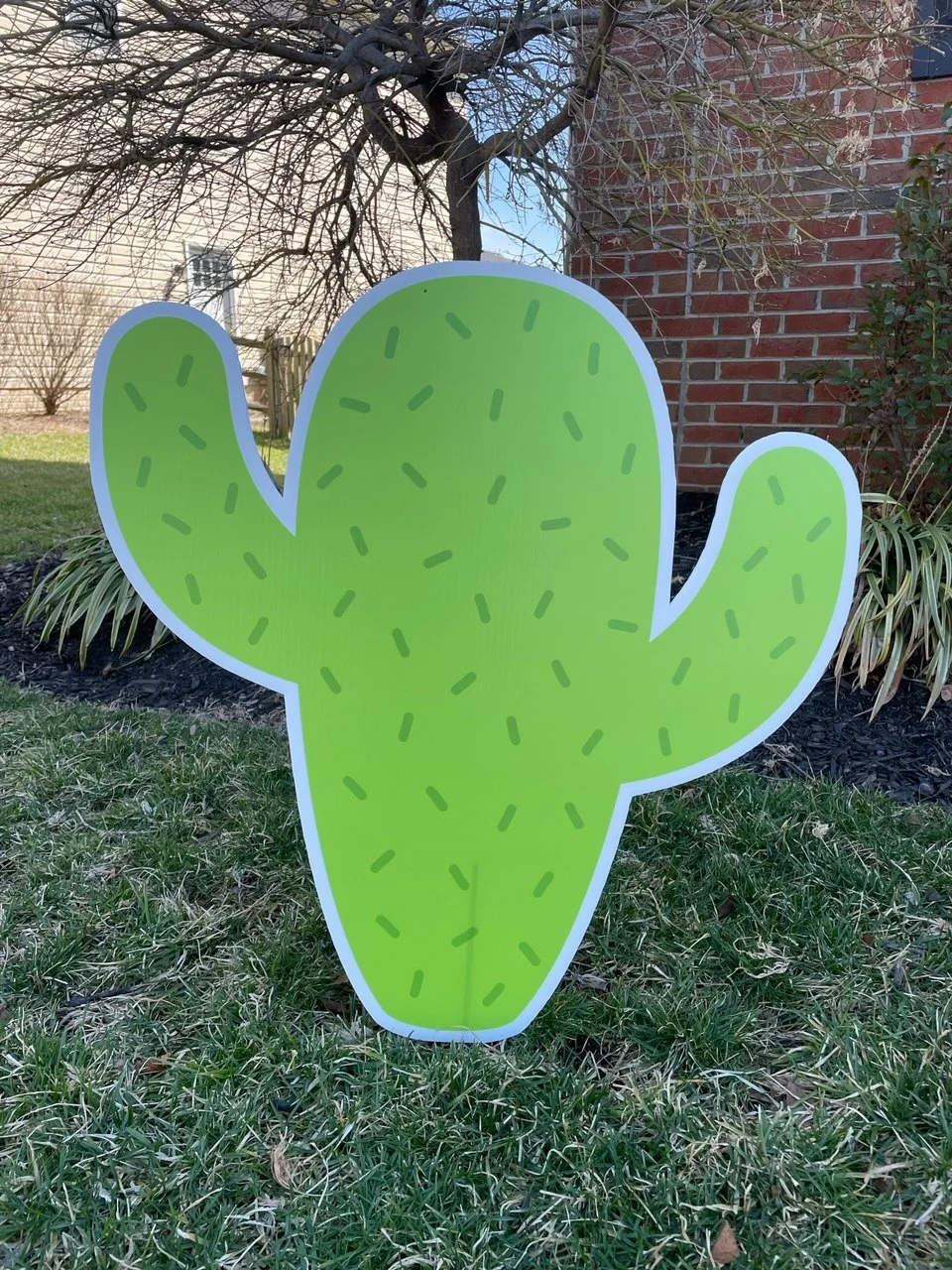 Cactus