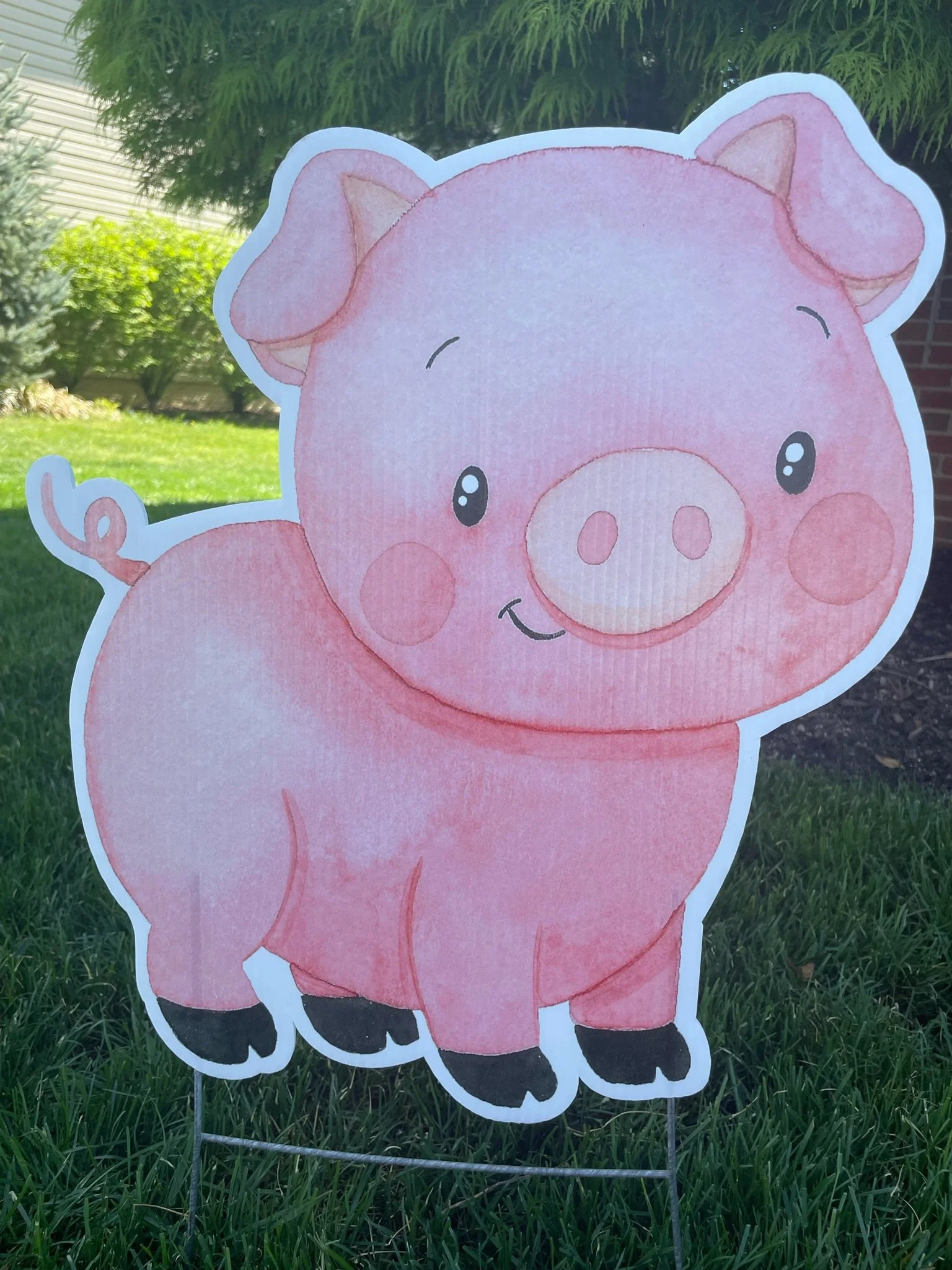Pig