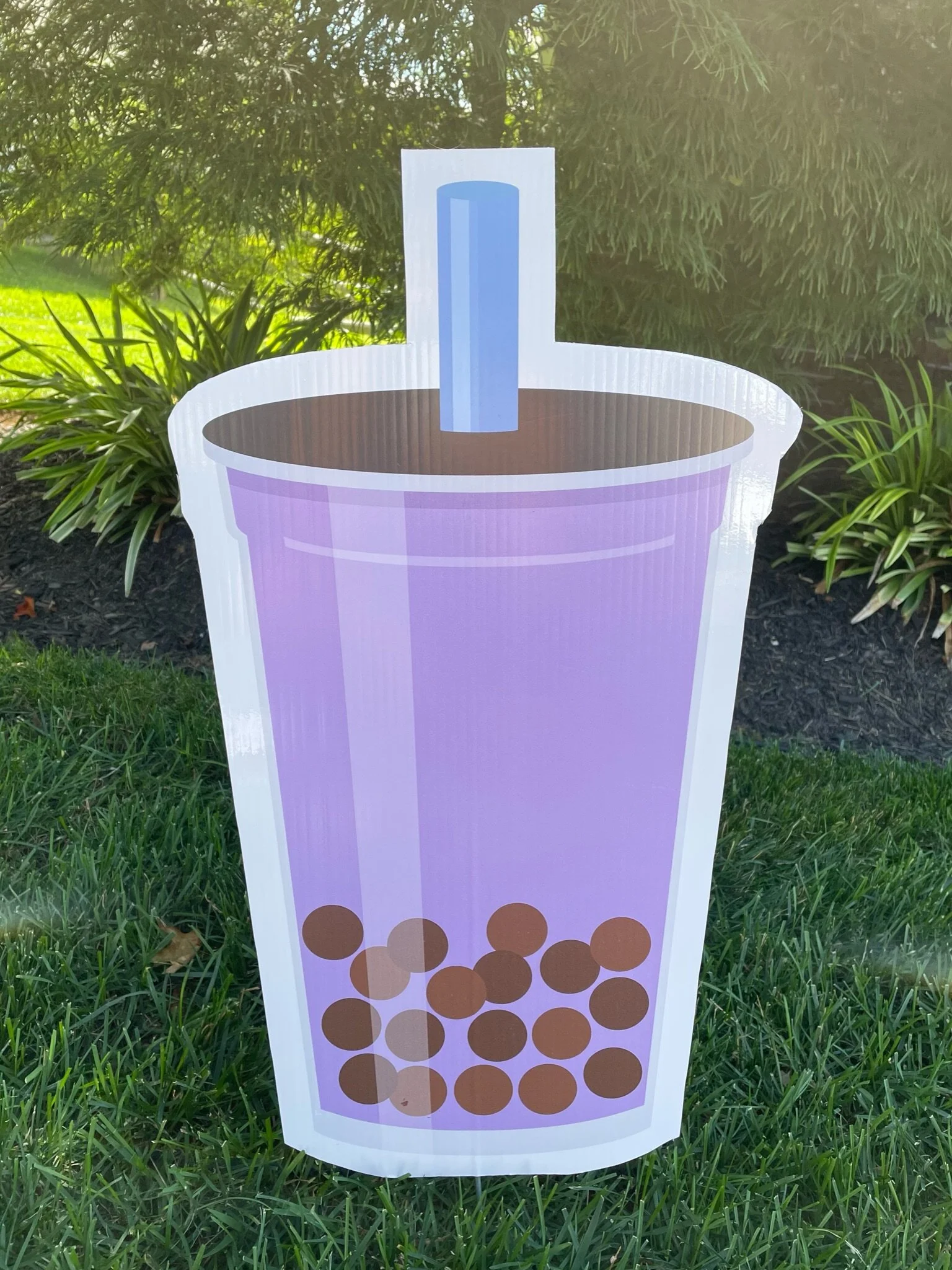 Boba Tea