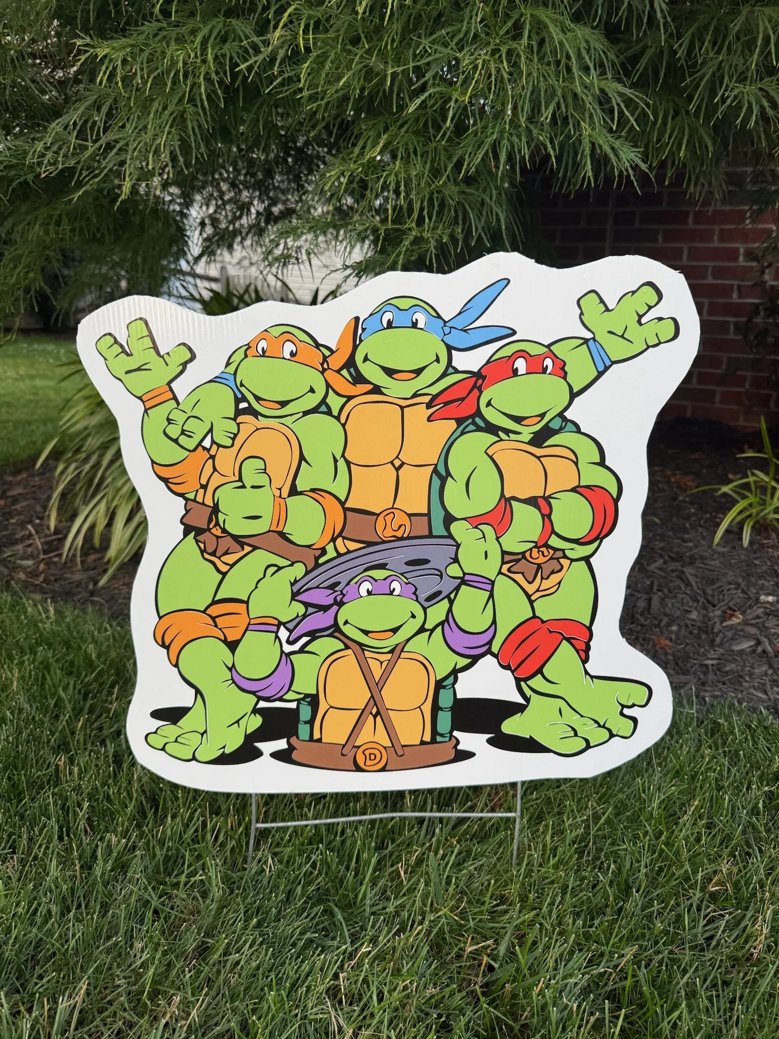 Ninja Turtles