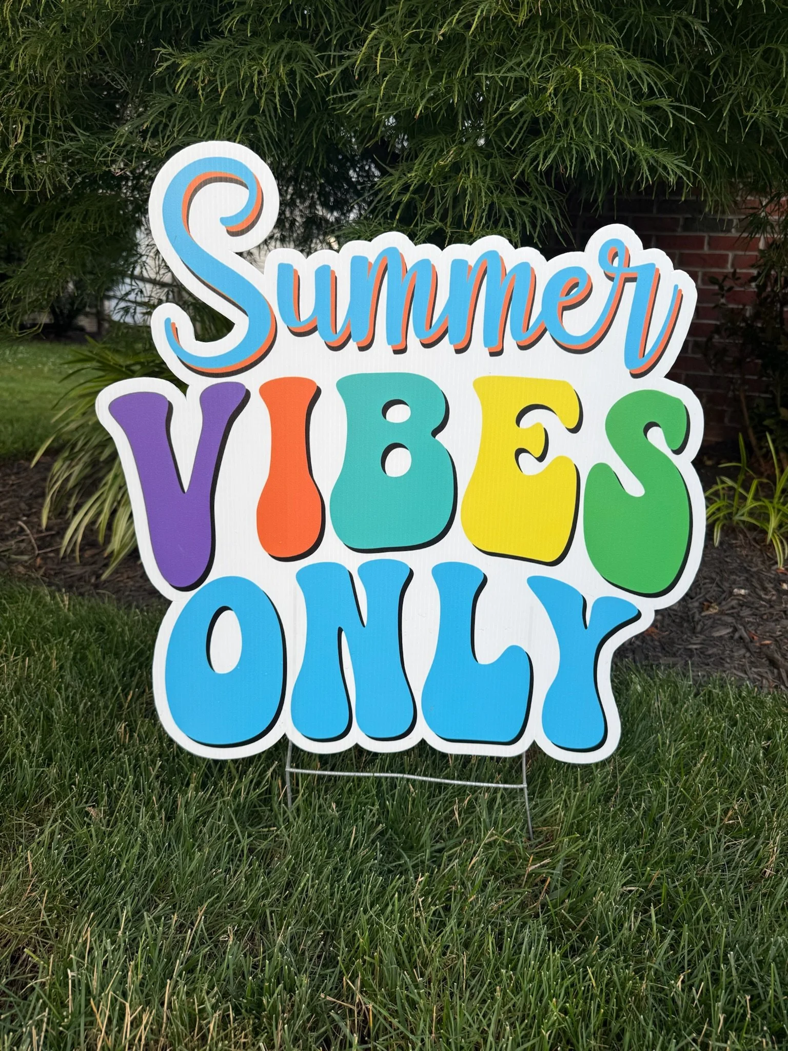 Summer Vibes