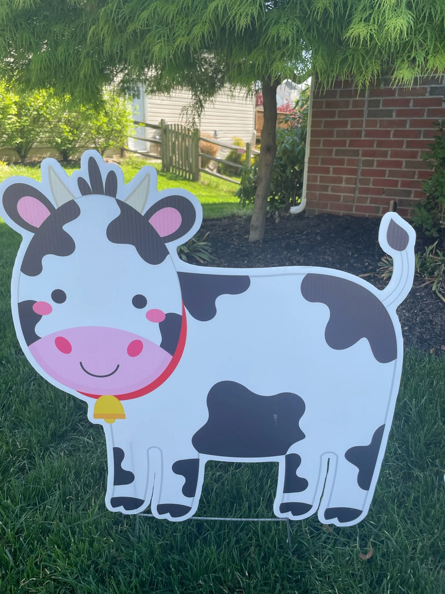 Cow