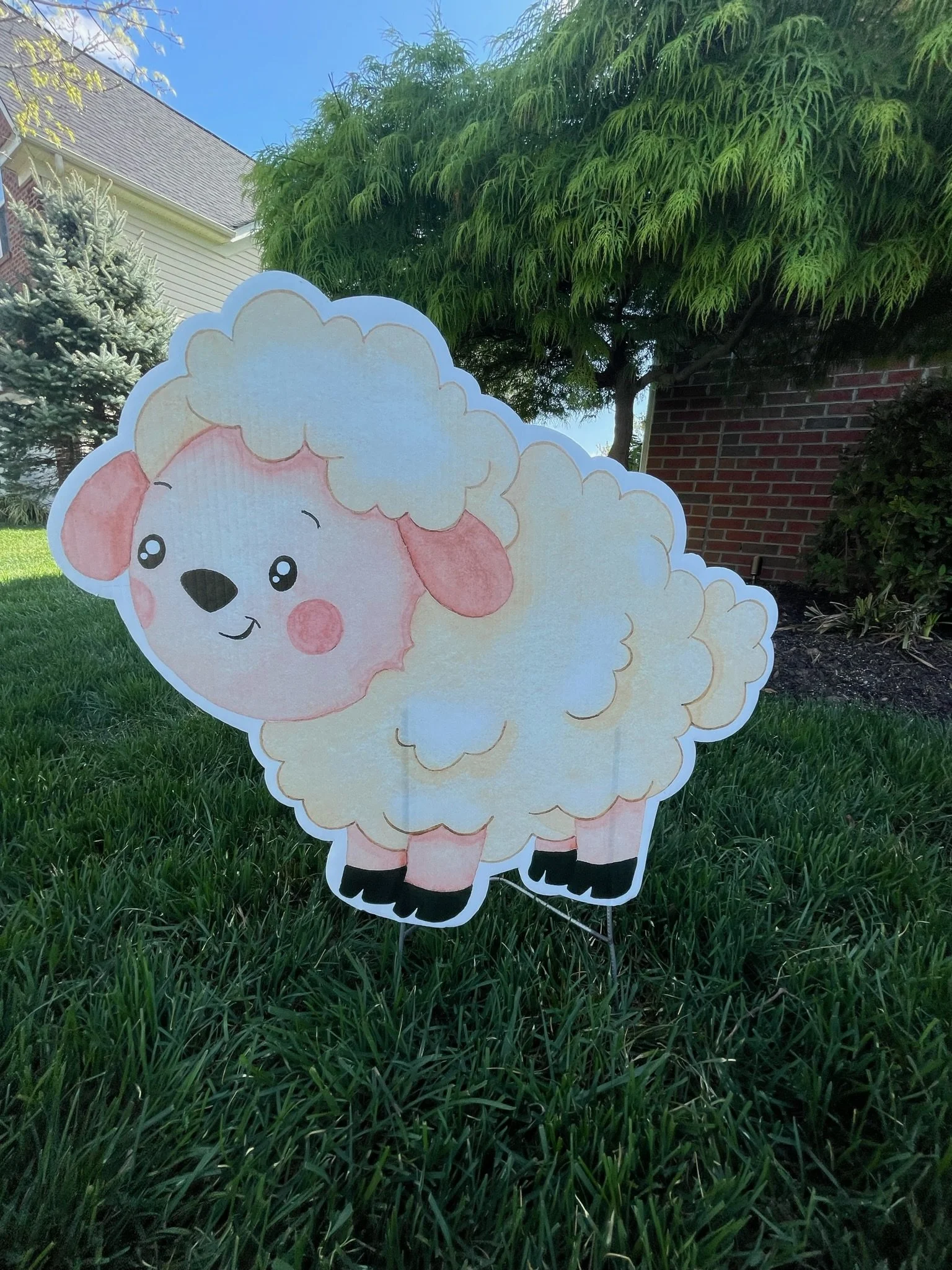 Sheep